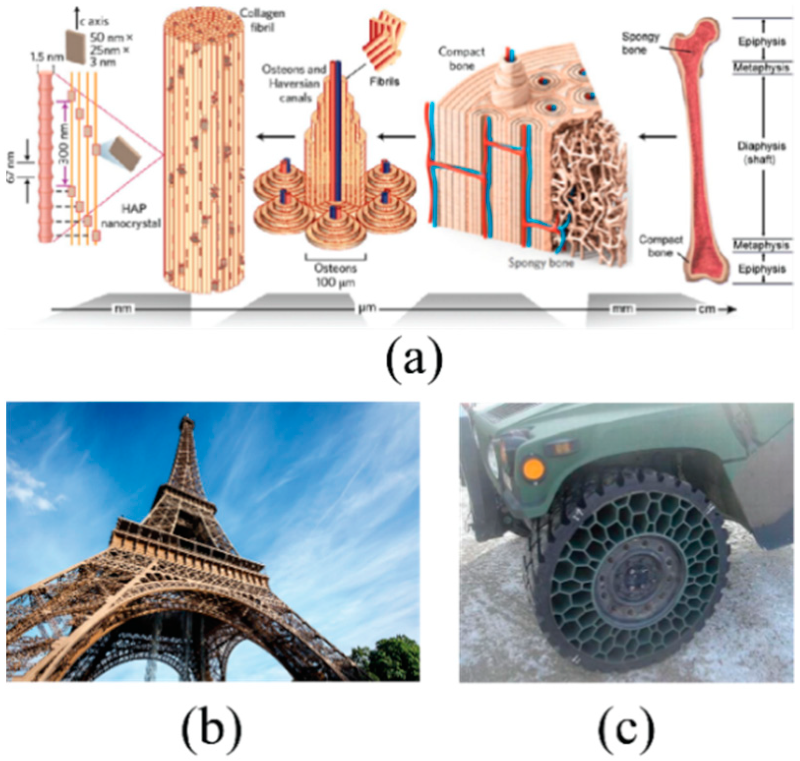 Materials 14 05040 g001