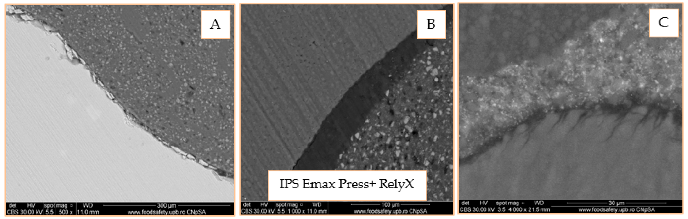 Materials 14 05048 g019 Materials 14 05048 g019