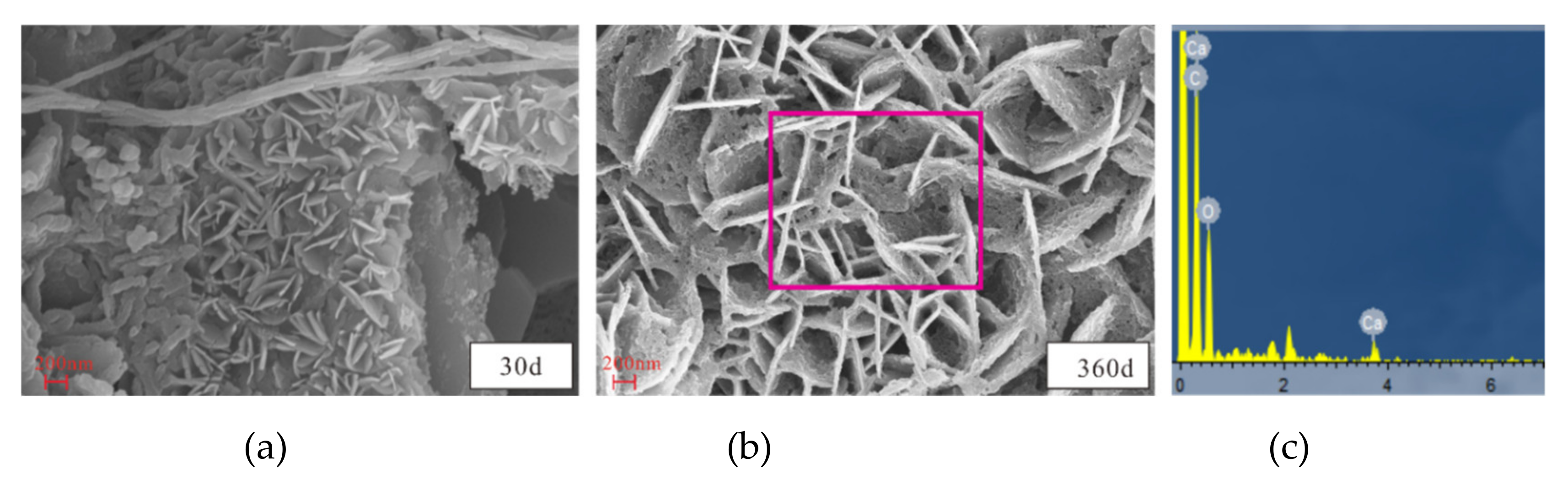 Materials 14 05054 g011