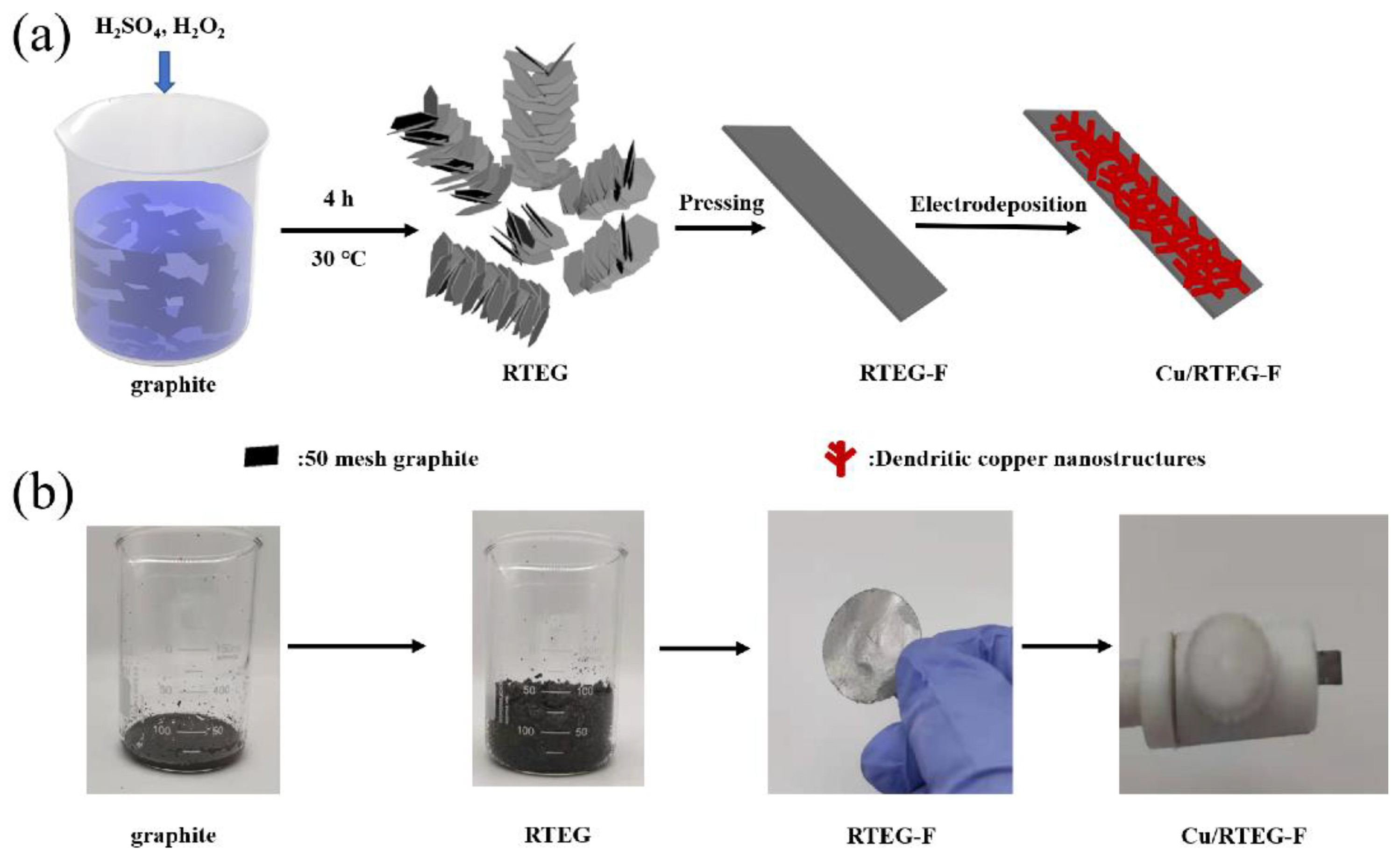 Materials 14 05067 sch001