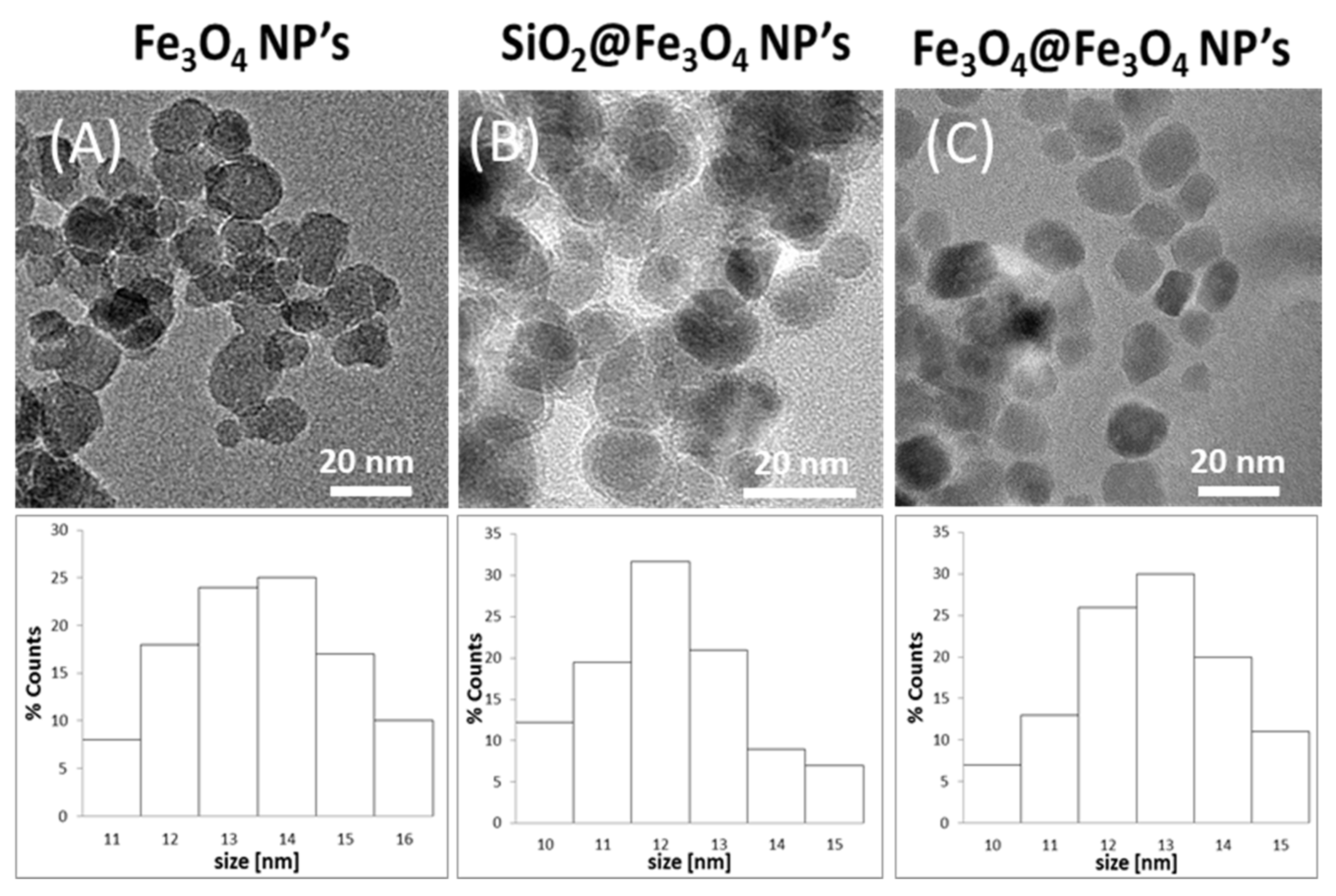 Materials | Free Full-Text | Stability Studies of Magnetite Nanoparticles  in Environmental Solutions