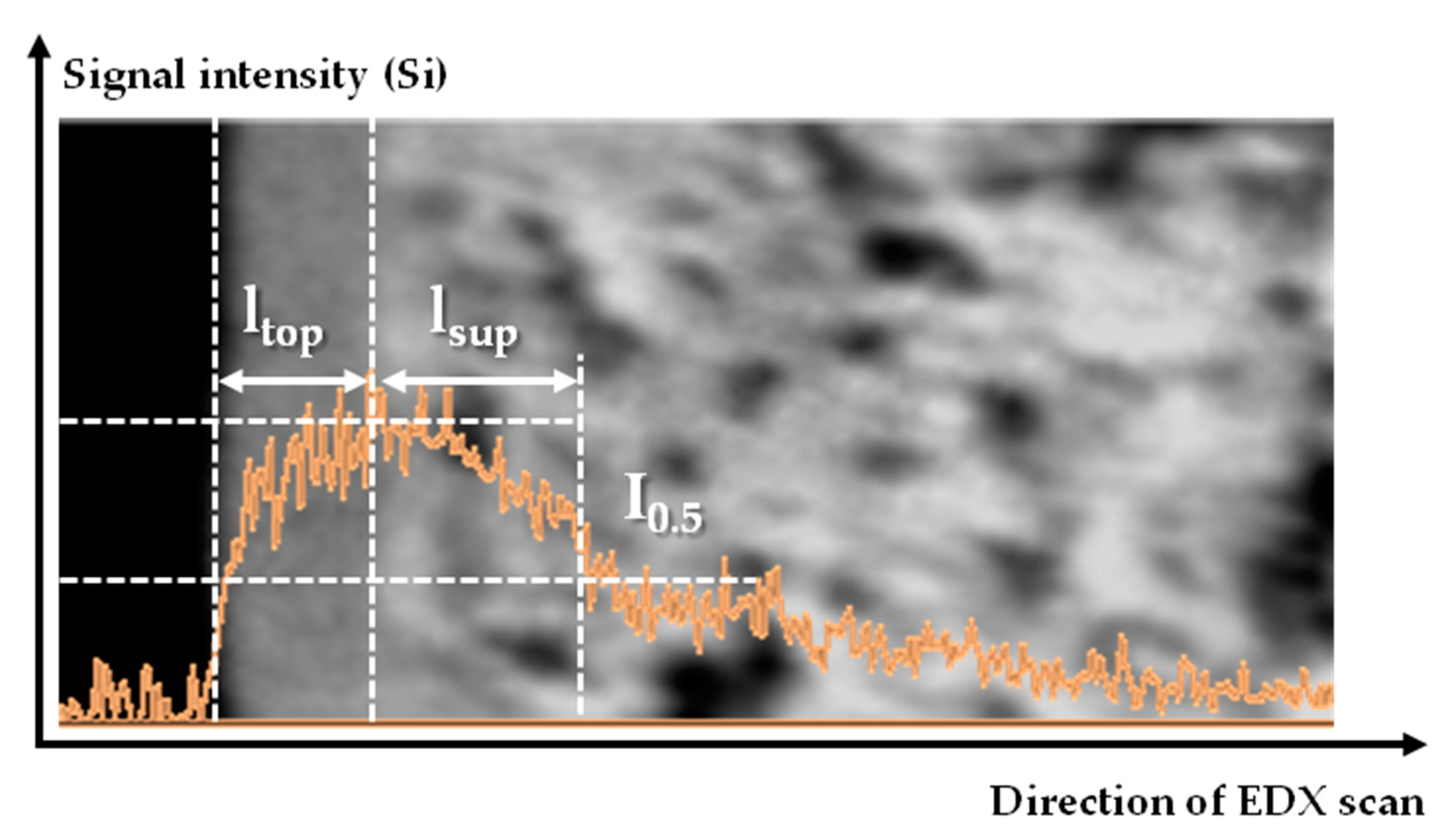 Materials 14 05093 g006