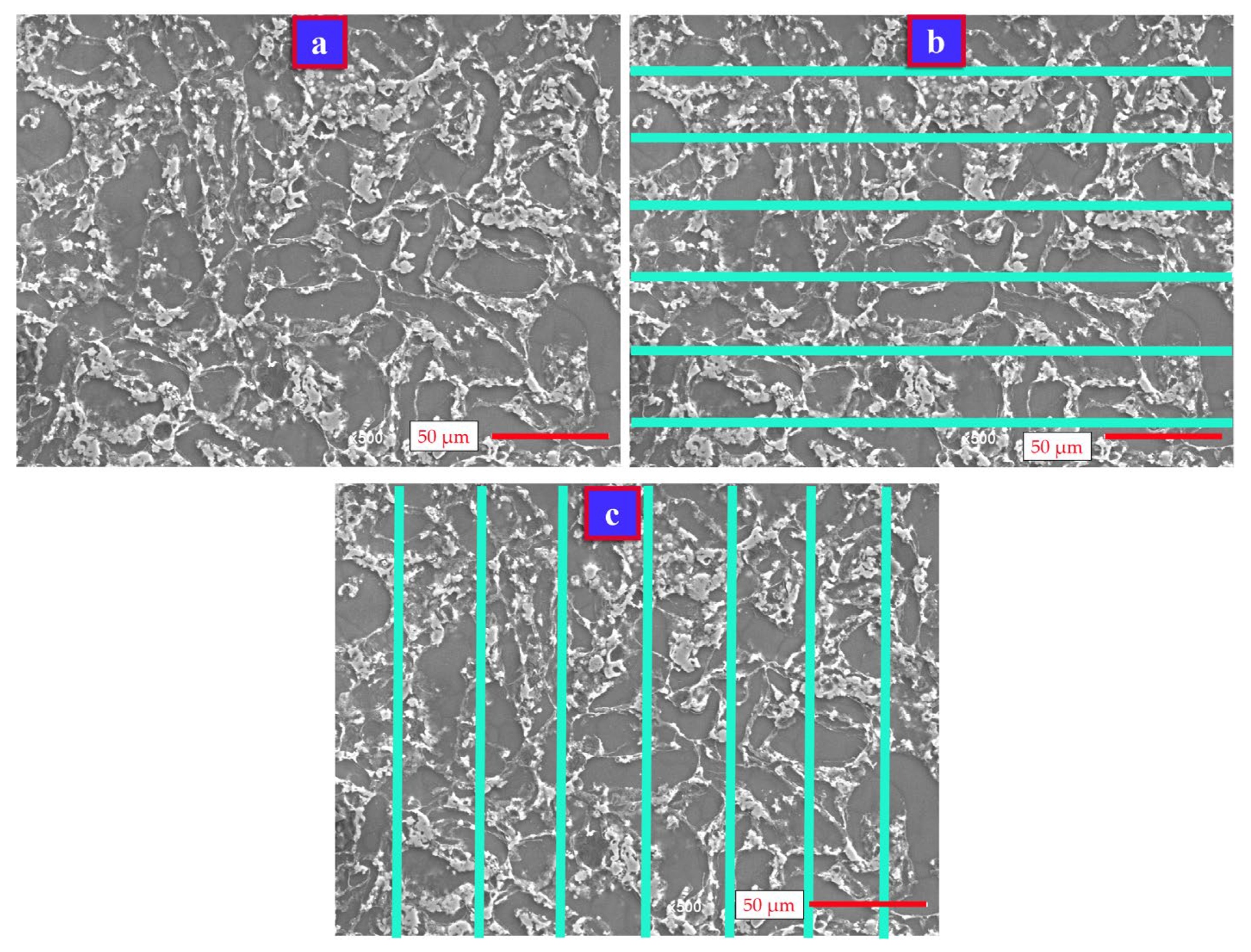 Materials 14 05095 g001