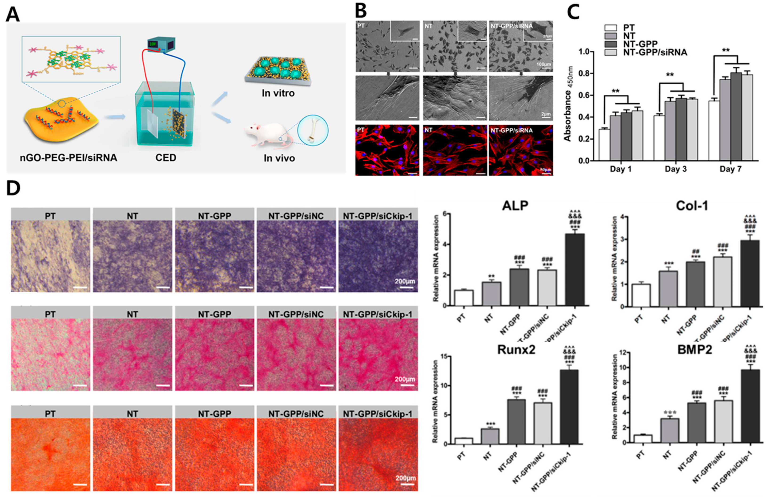 Materials 14 05104 g004 Materials 14 05104 g004