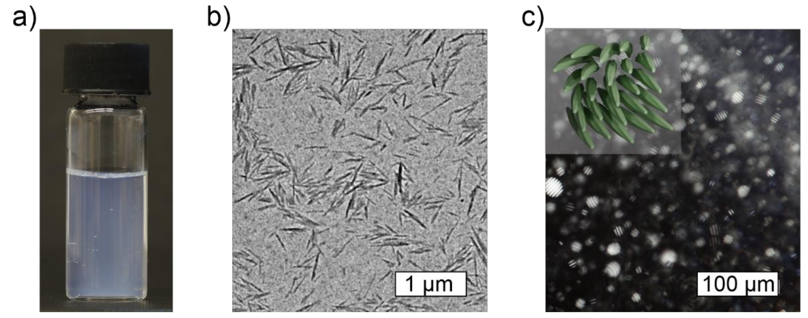 Materials 14 05137 g003