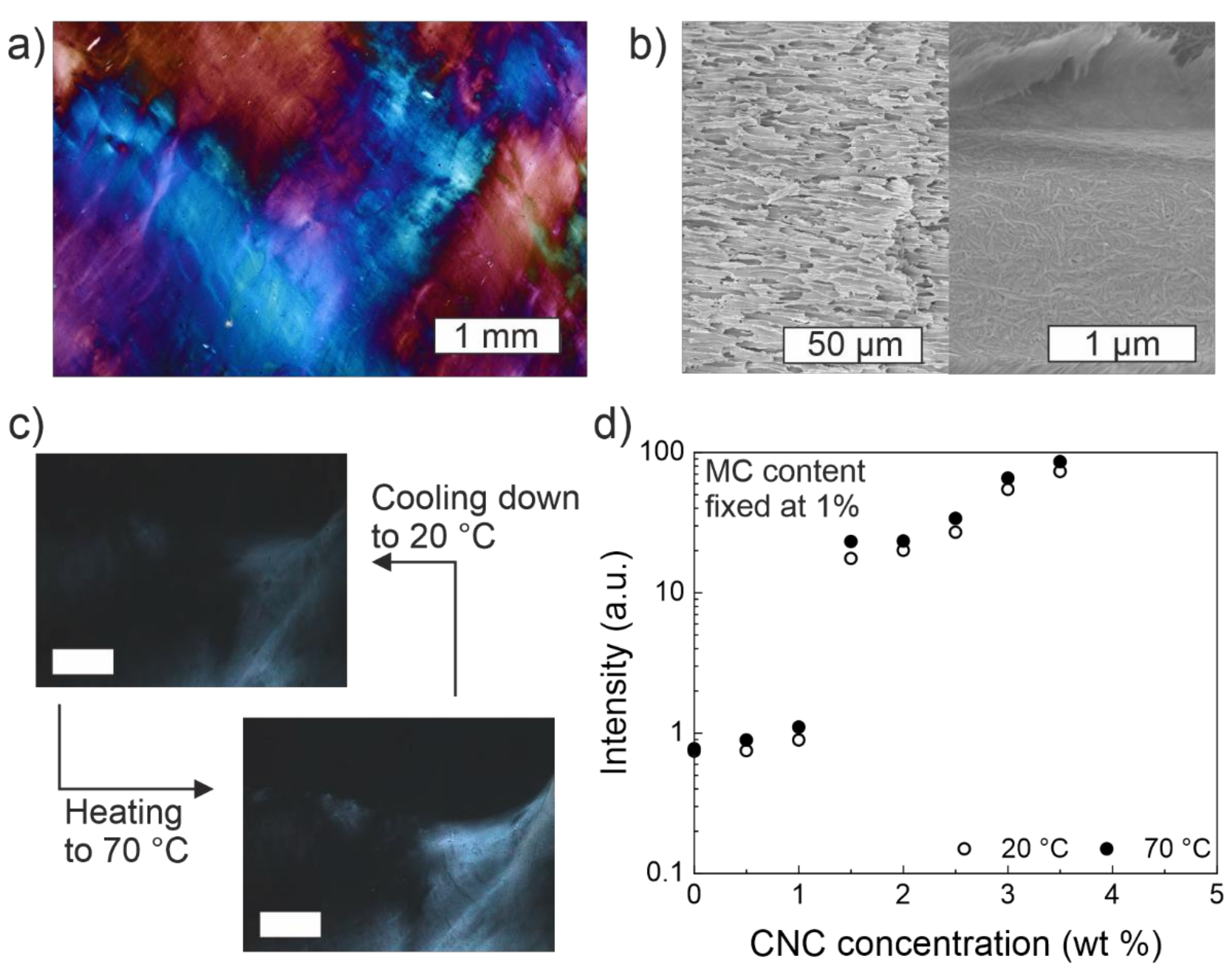 Materials 14 05137 g005