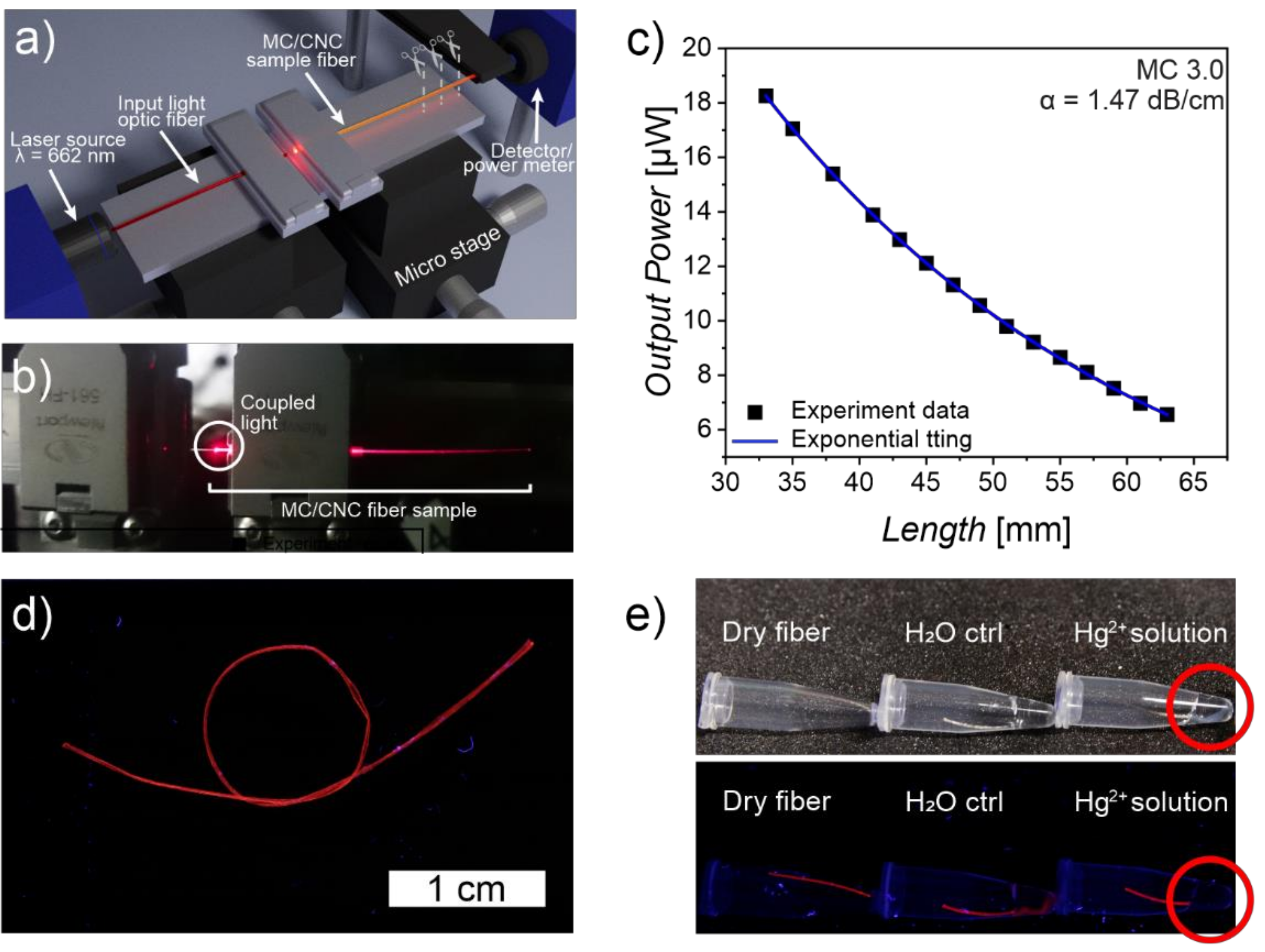 Materials 14 05137 g008