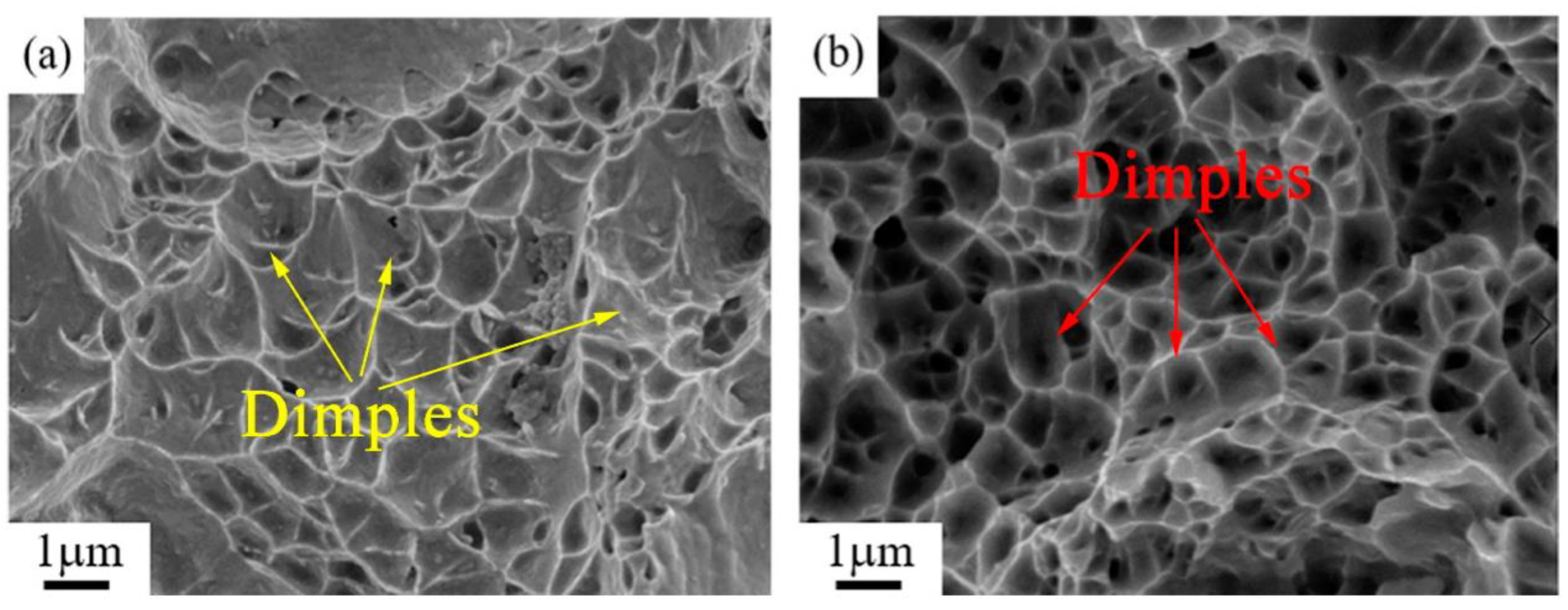 Materials 14 05201 g012
