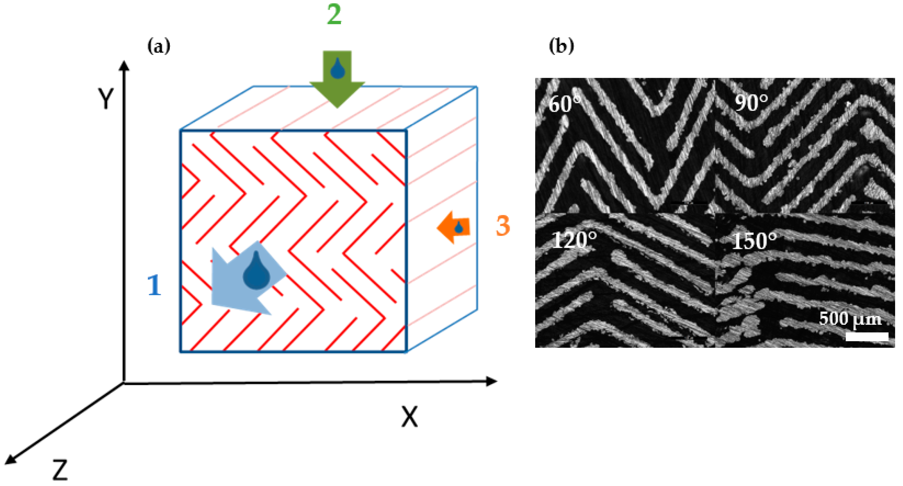Materials 14 05205 g011