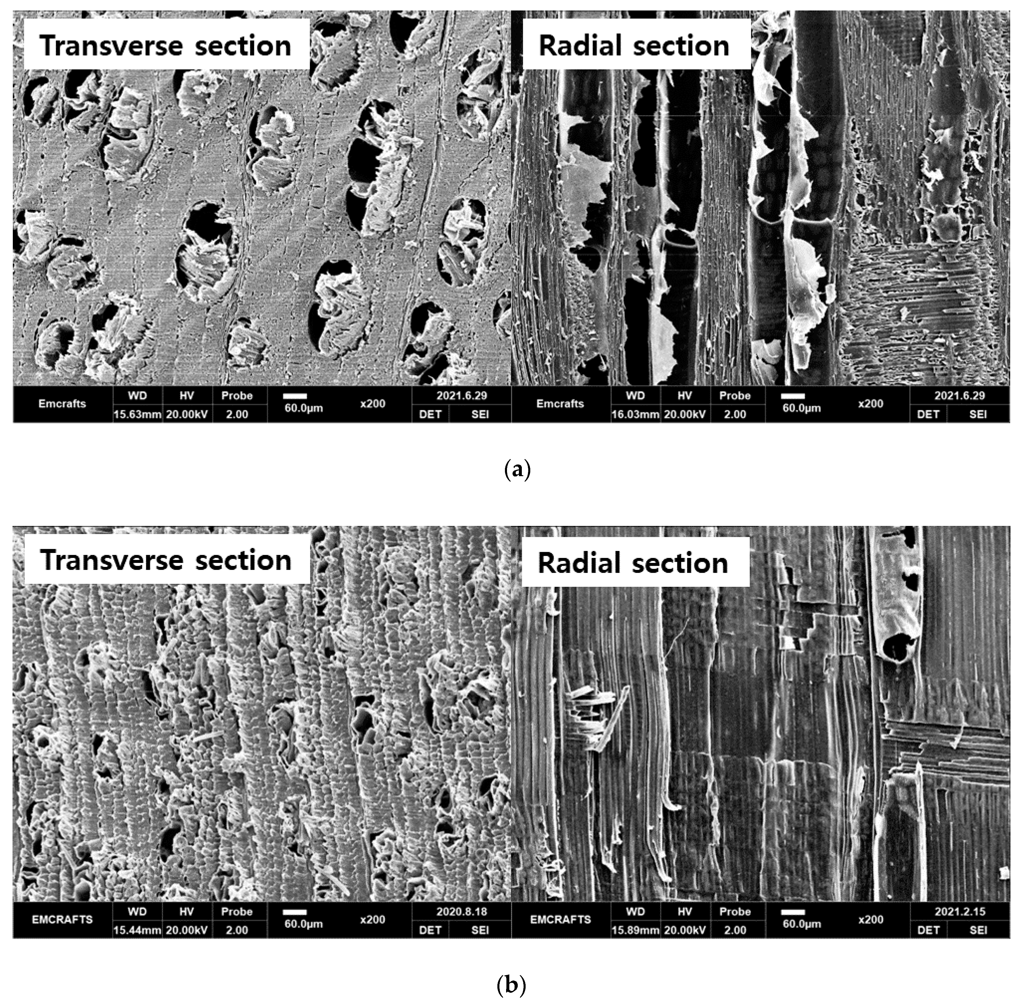 Materials 14 05215 g003a Materials 14 05215 g003a