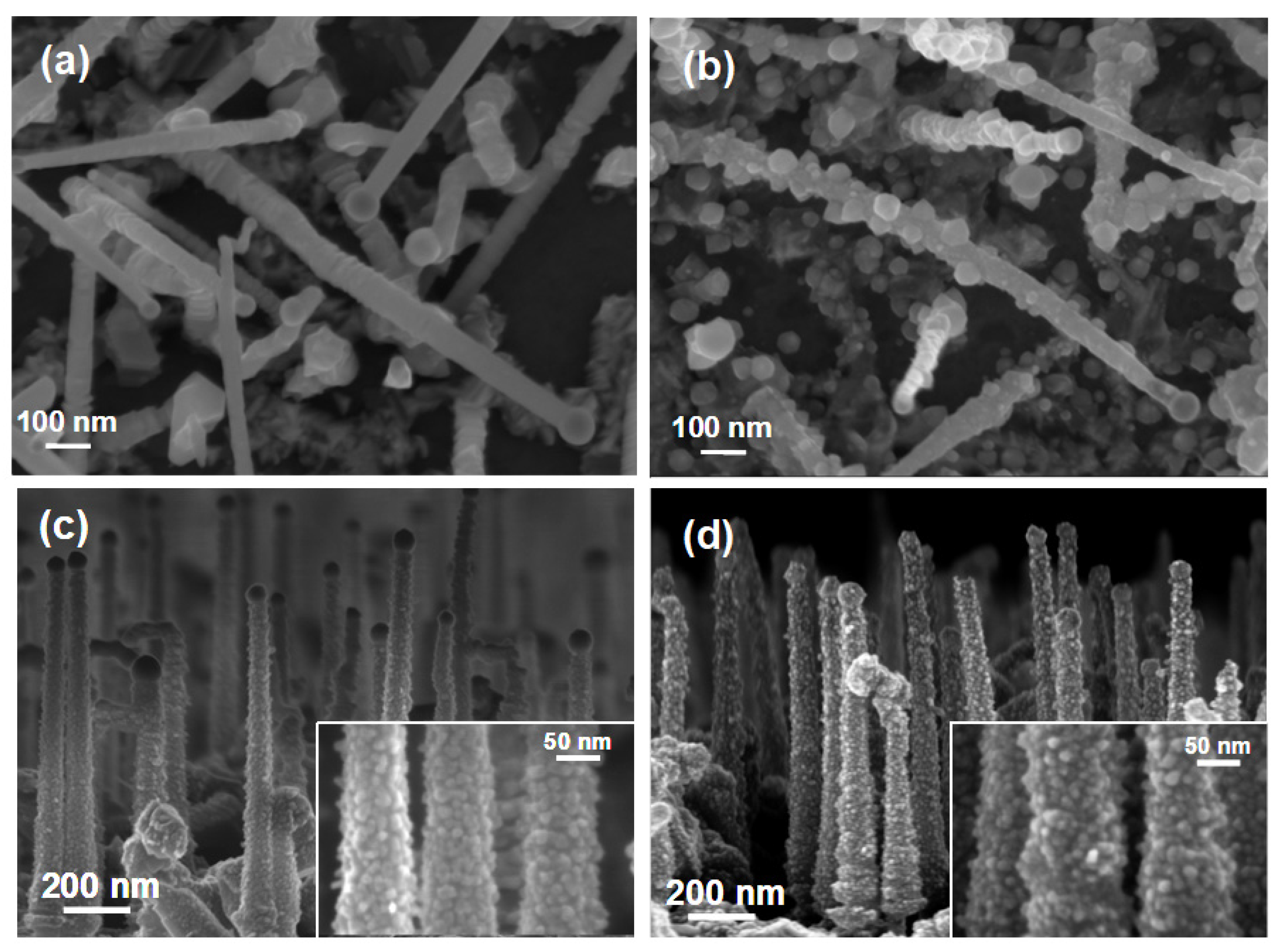 Materials 14 05252 g001