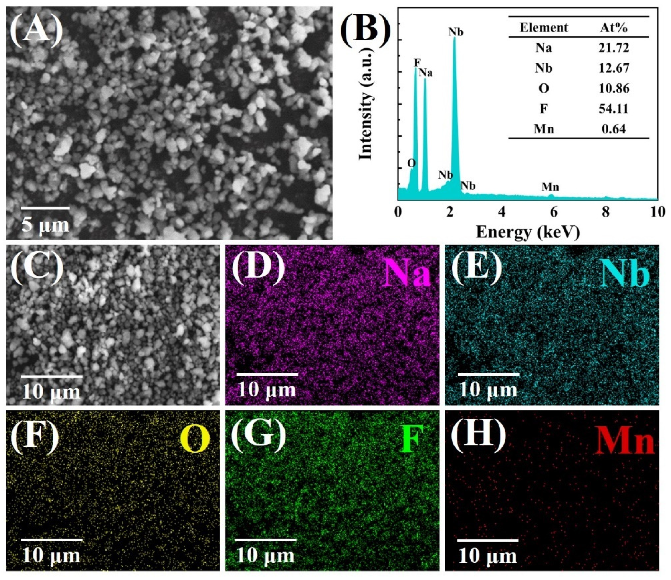 Materials 14 05317 g004