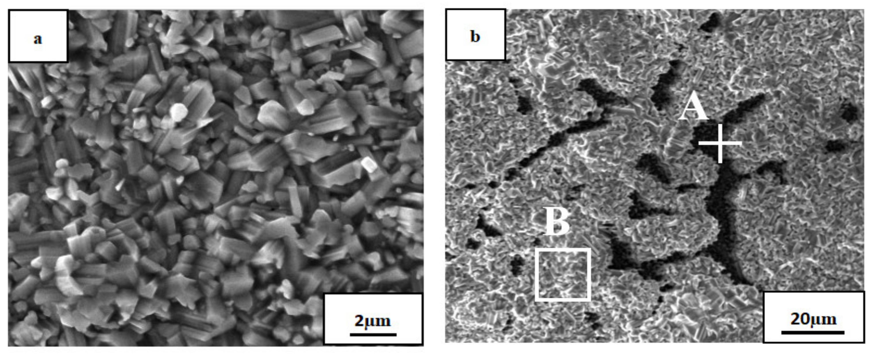 Materials 14 05319 g005