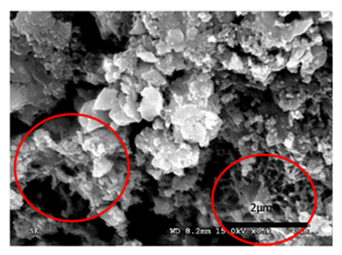 Materials 14 05369 i005