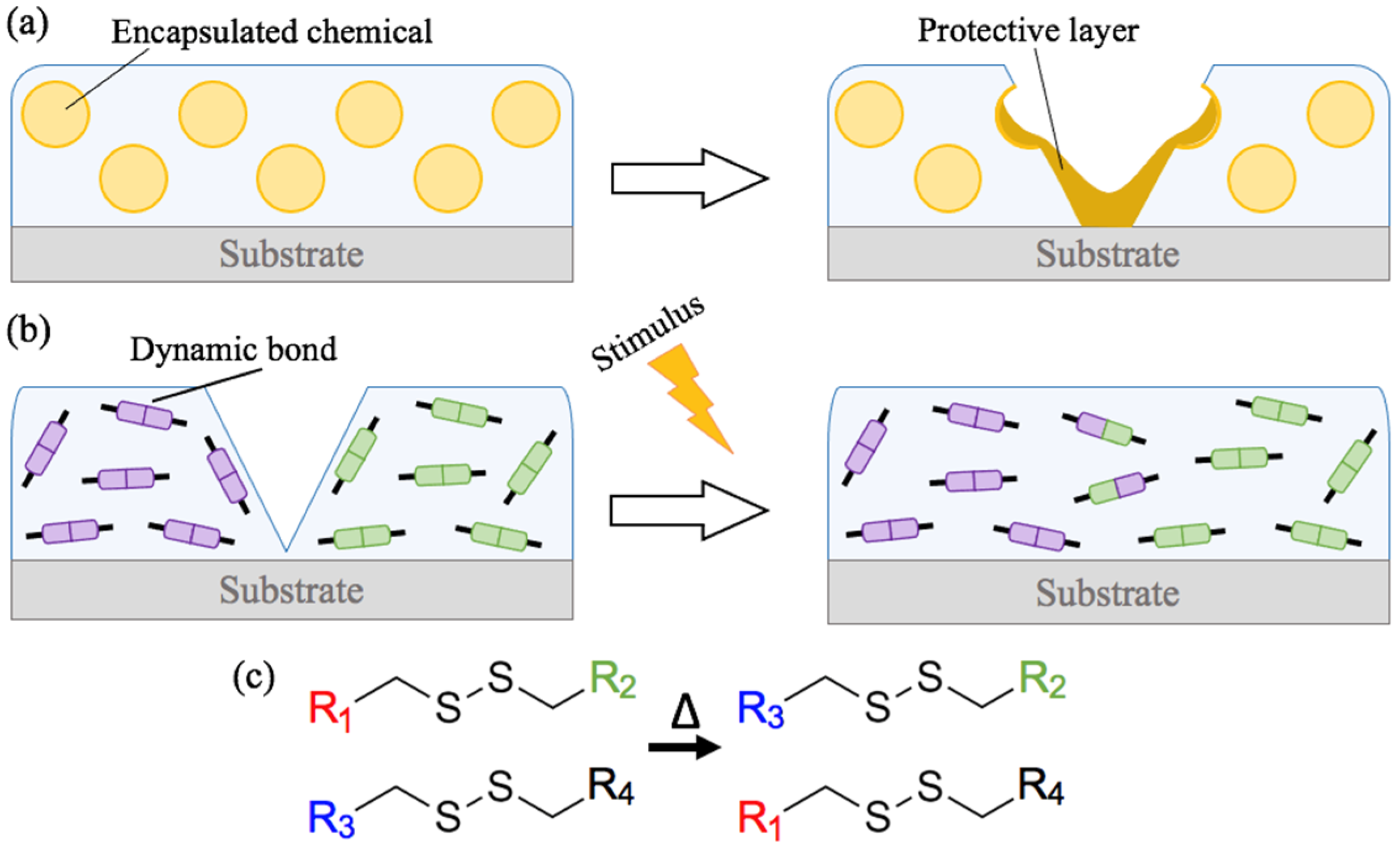 Materials 14 05382 g001