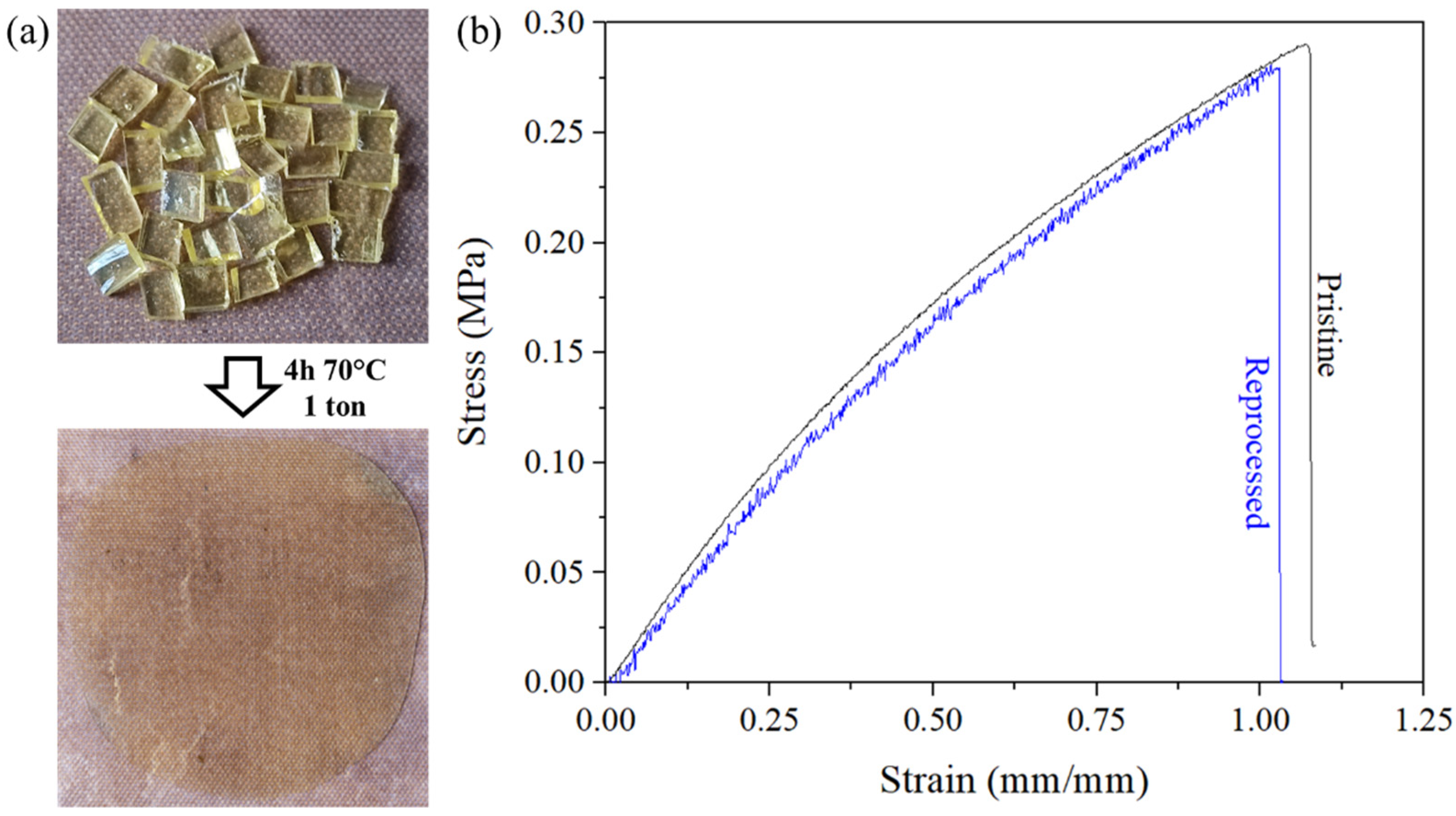 Materials 14 05382 g008