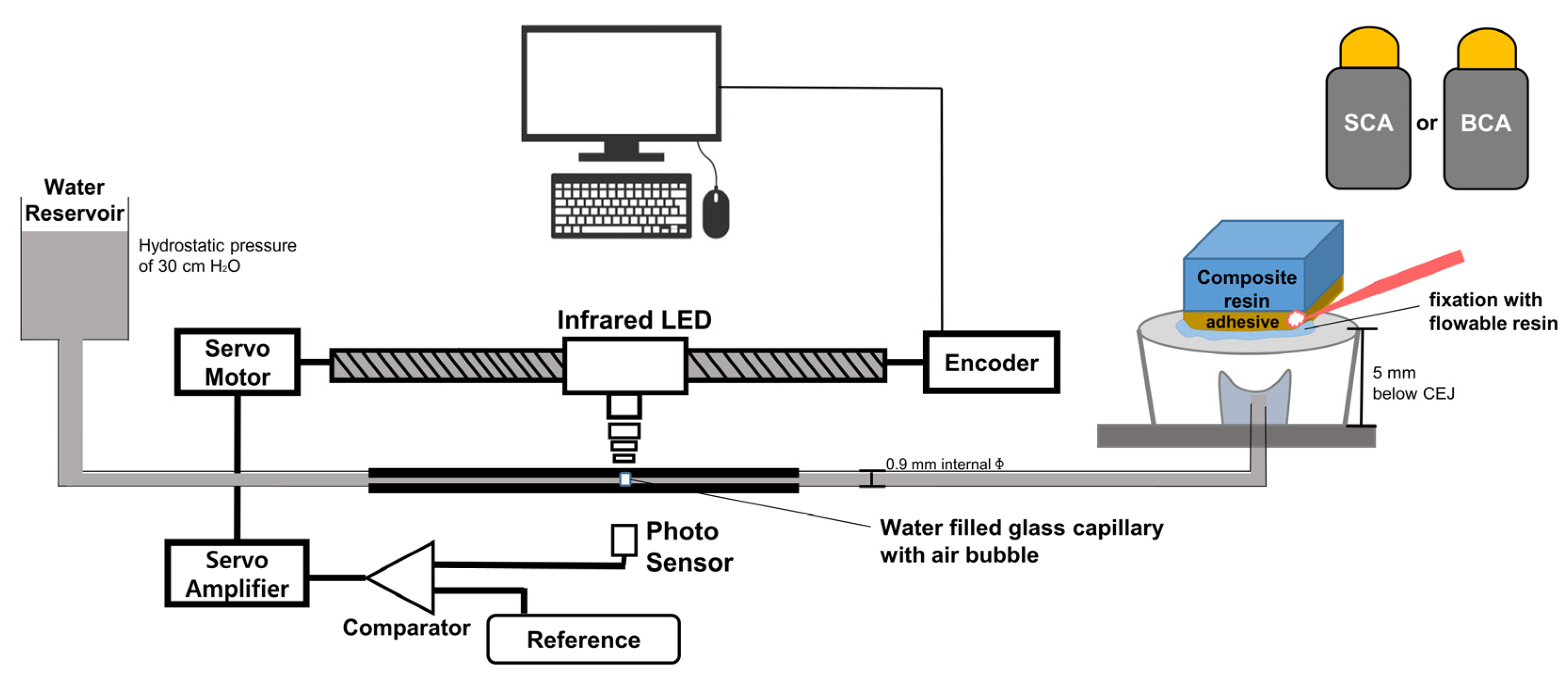 Materials 14 05423 g001 Materials 14 05423 g001