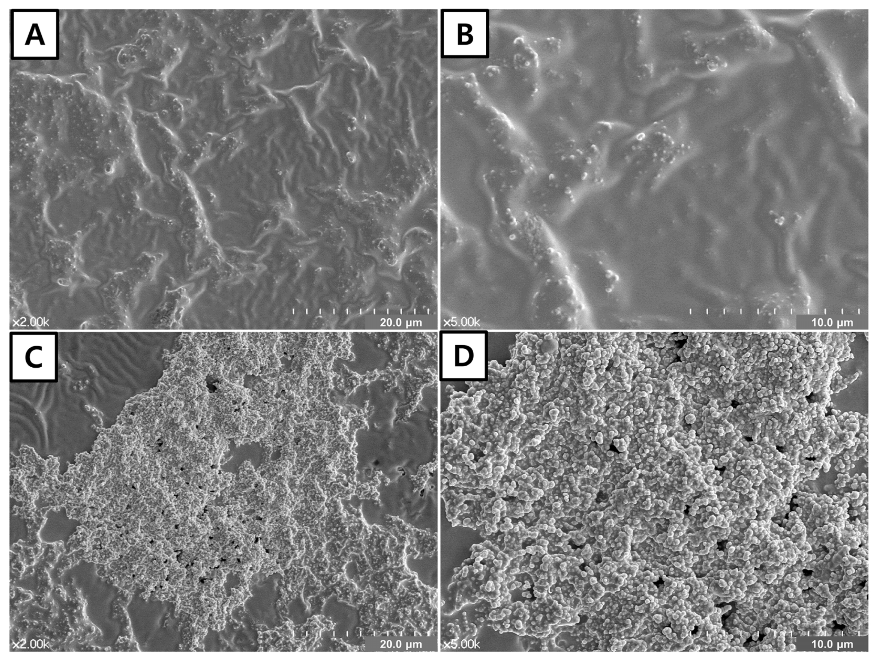 Materials 14 05423 g002 Materials 14 05423 g002