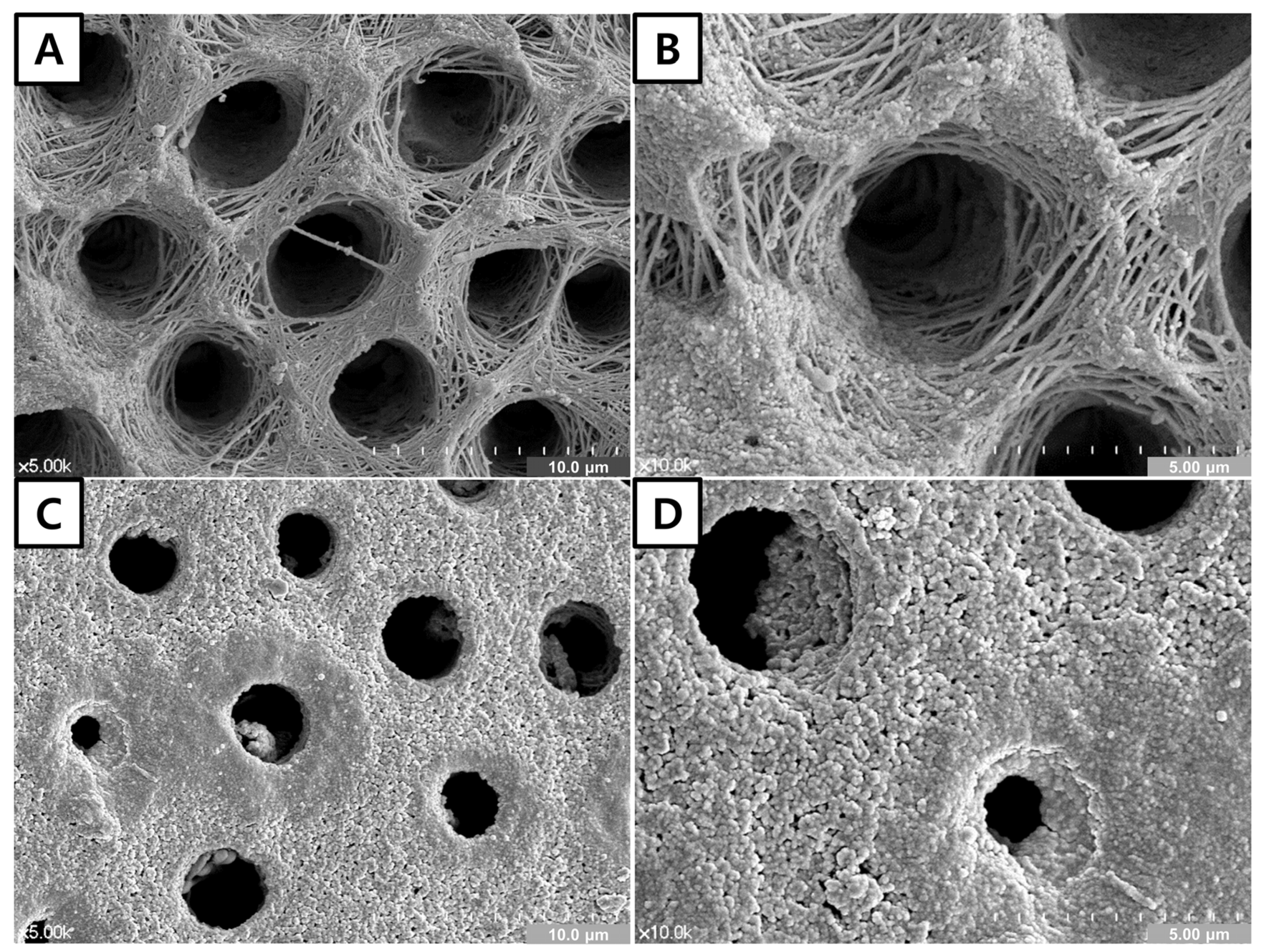 Materials 14 05423 g003 Materials 14 05423 g003