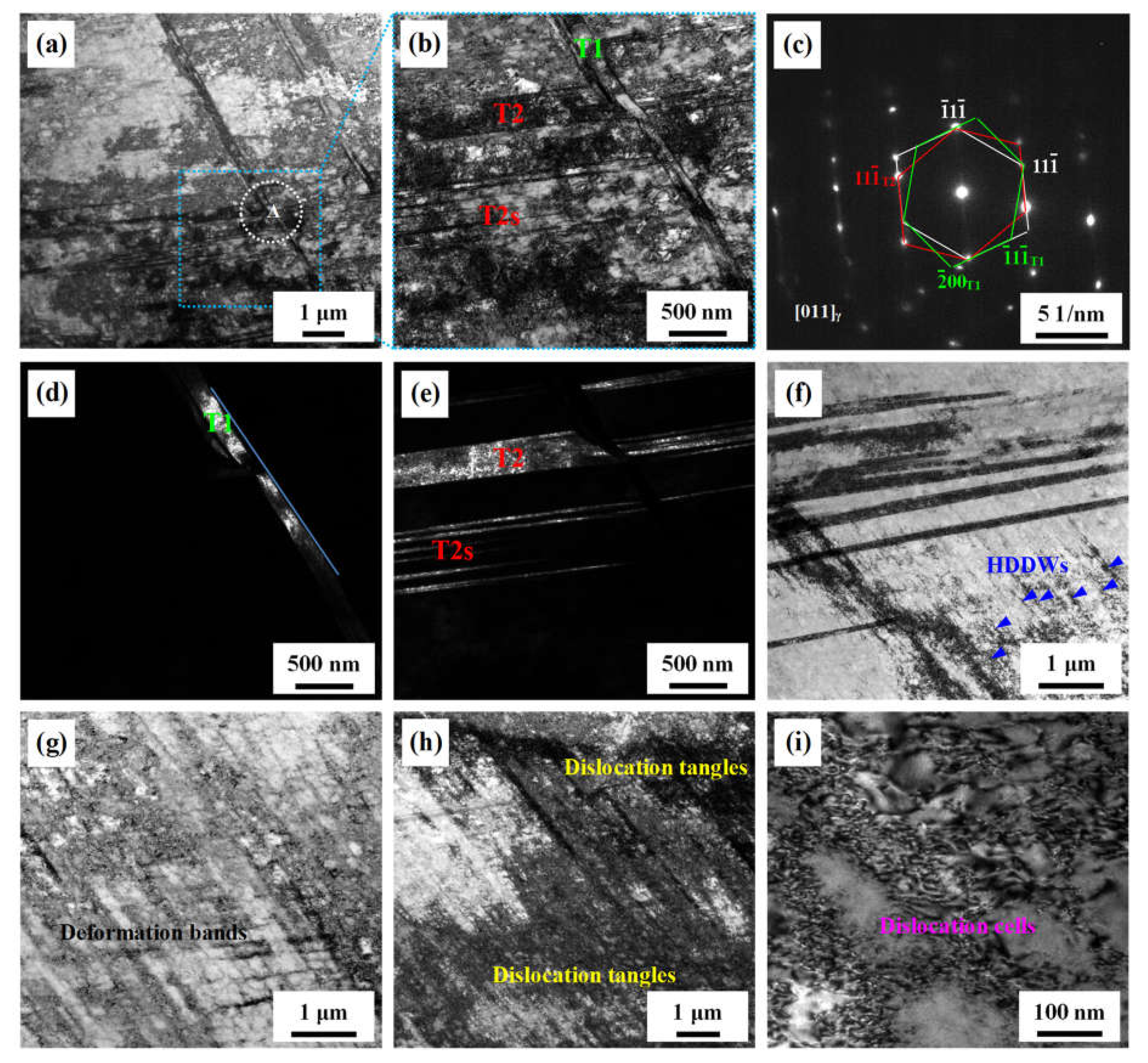 Materials 14 05426 g005
