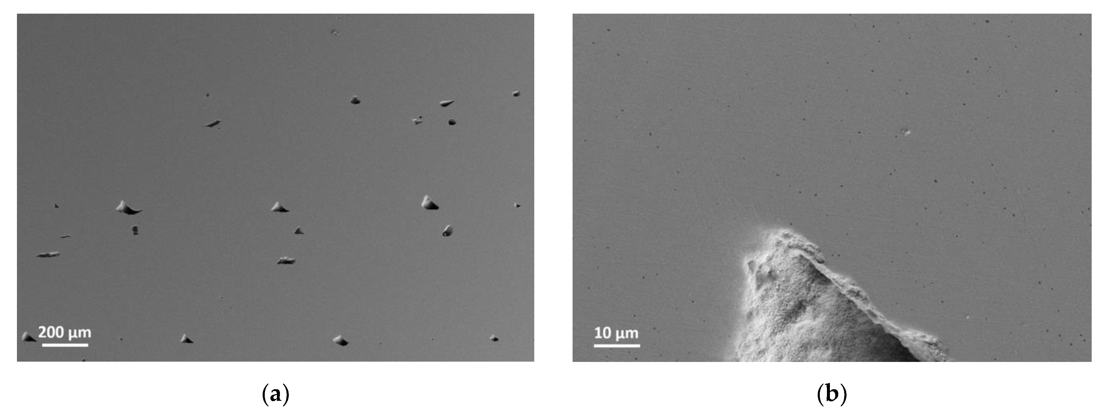 Materials 14 05467 g006