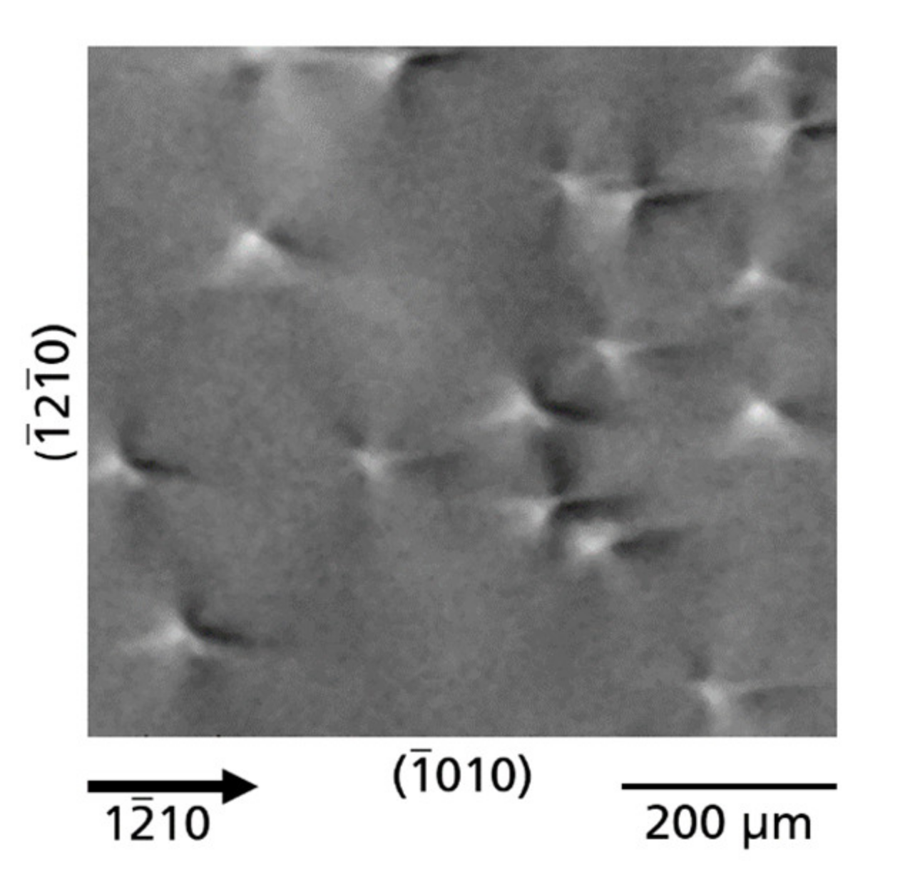 Materials 14 05472 g004