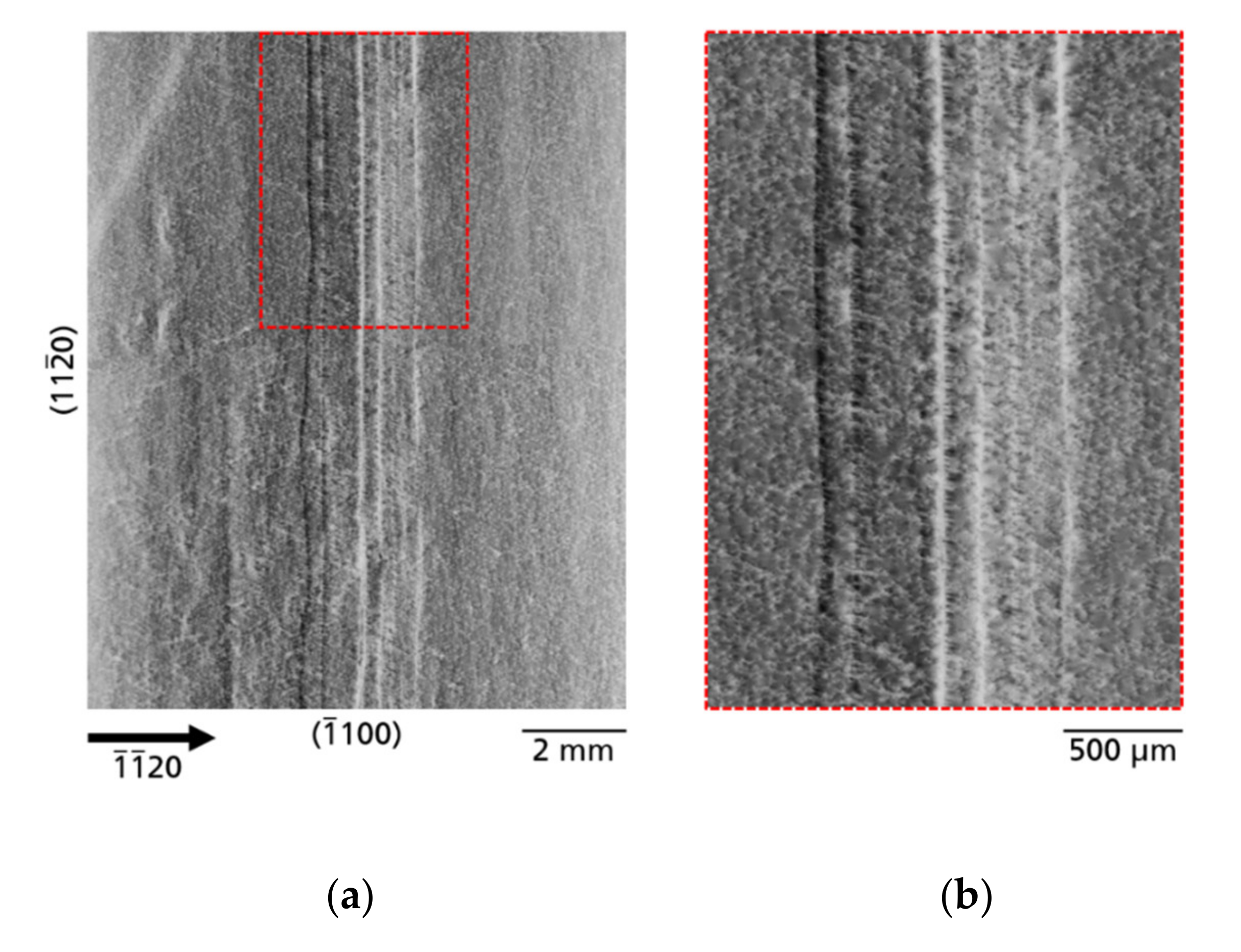 Materials 14 05472 g006