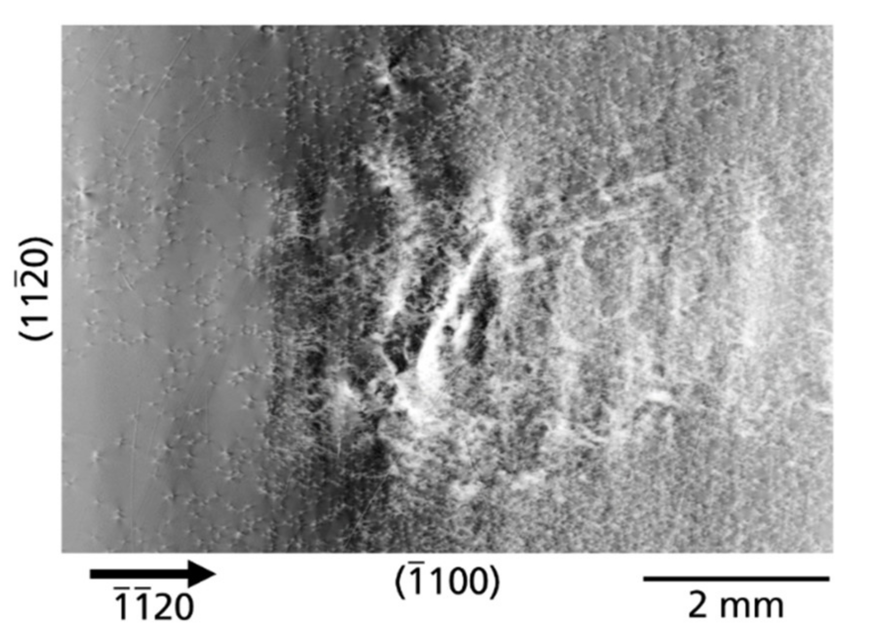 Materials 14 05472 g007