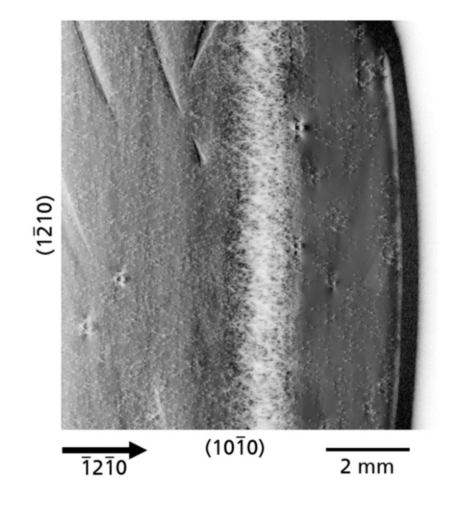 Materials 14 05472 g010