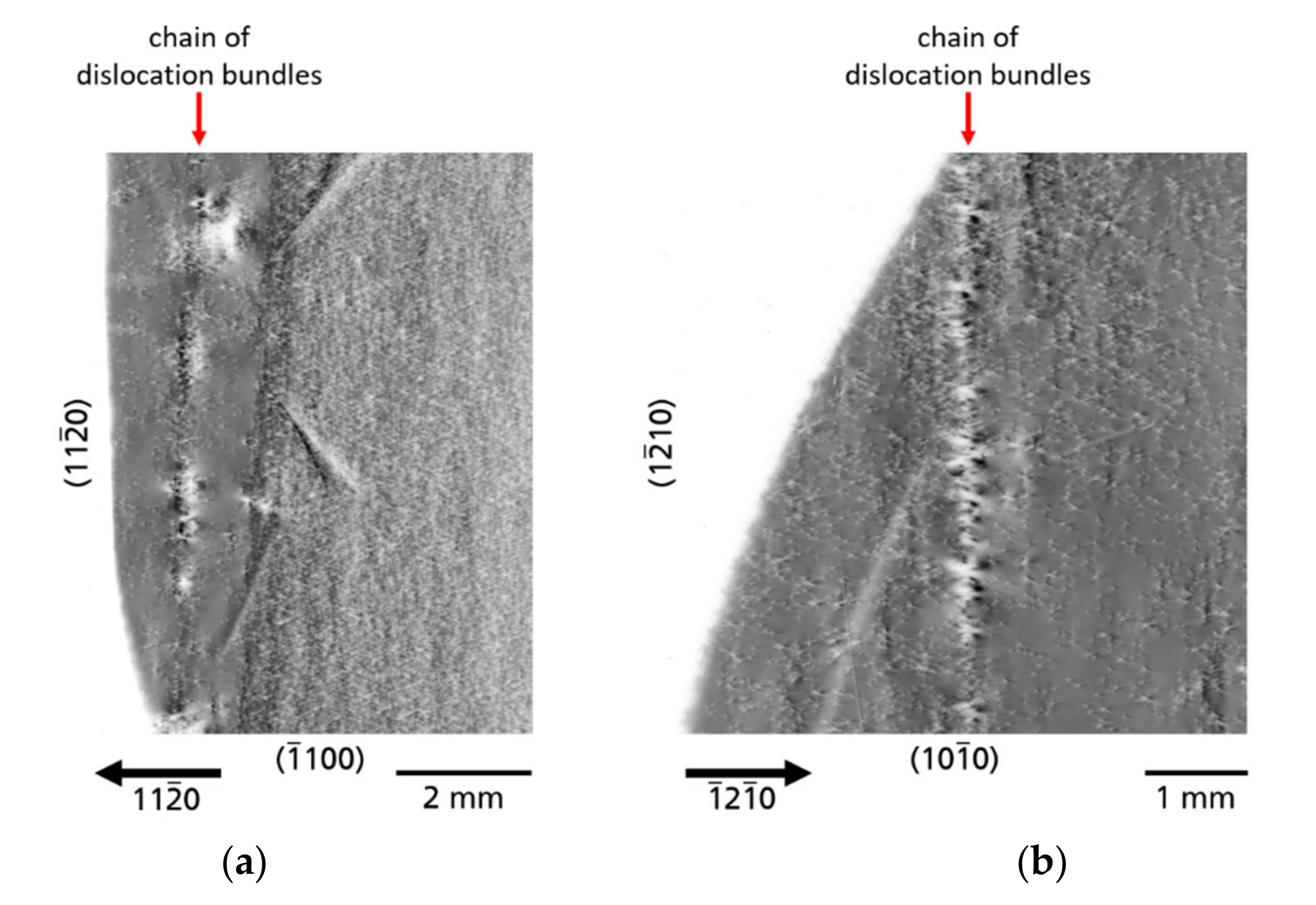 Materials 14 05472 g012