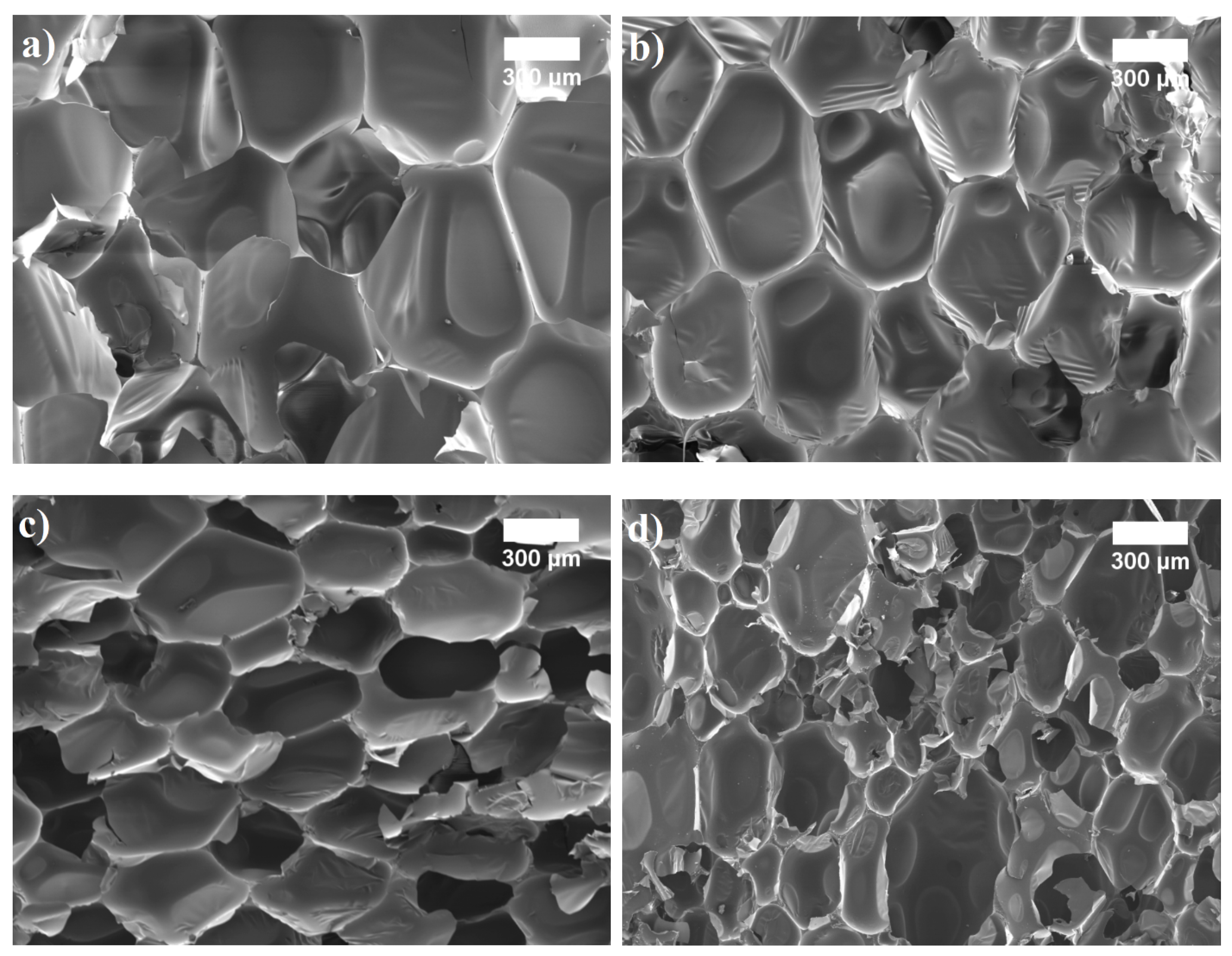 Materials 14 05475 g004