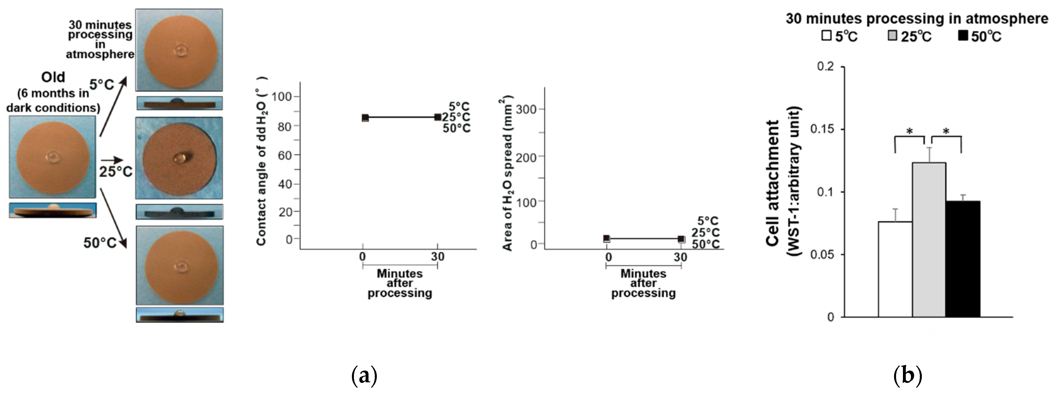 Materials 14 05493 g001