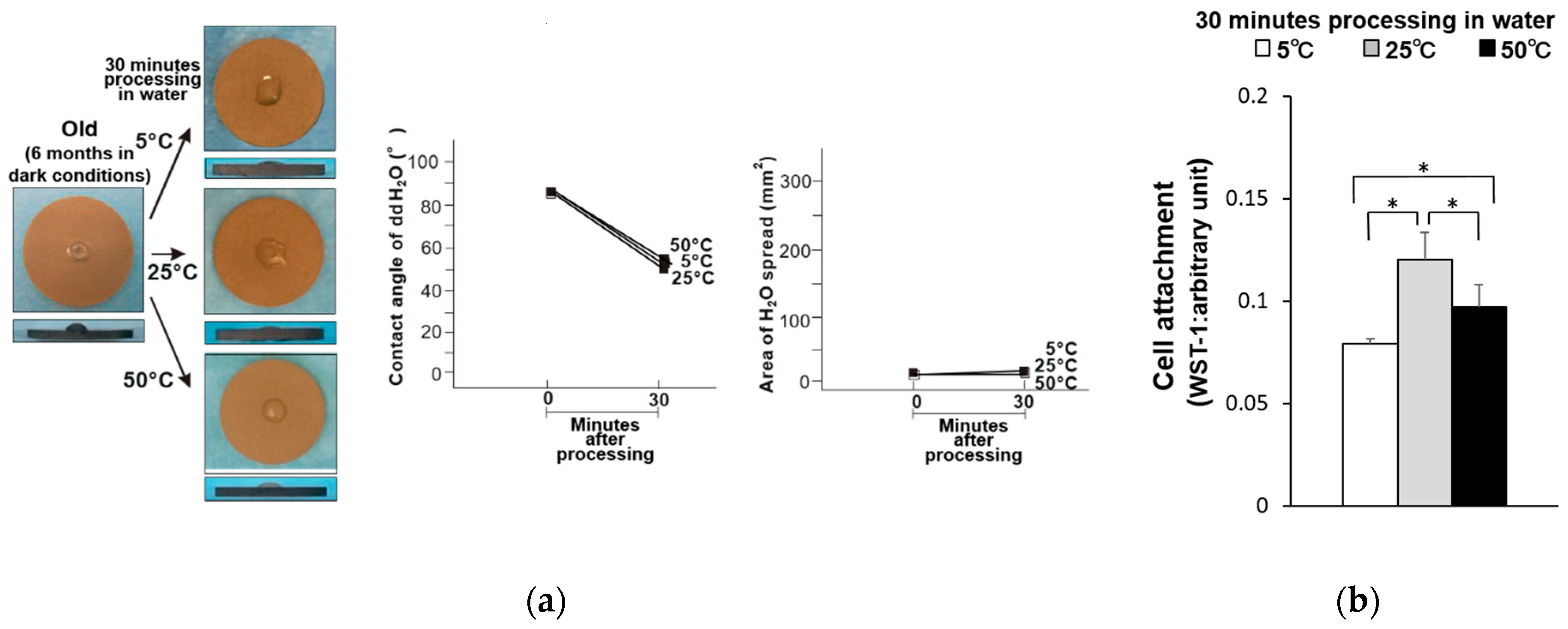Materials 14 05493 g002