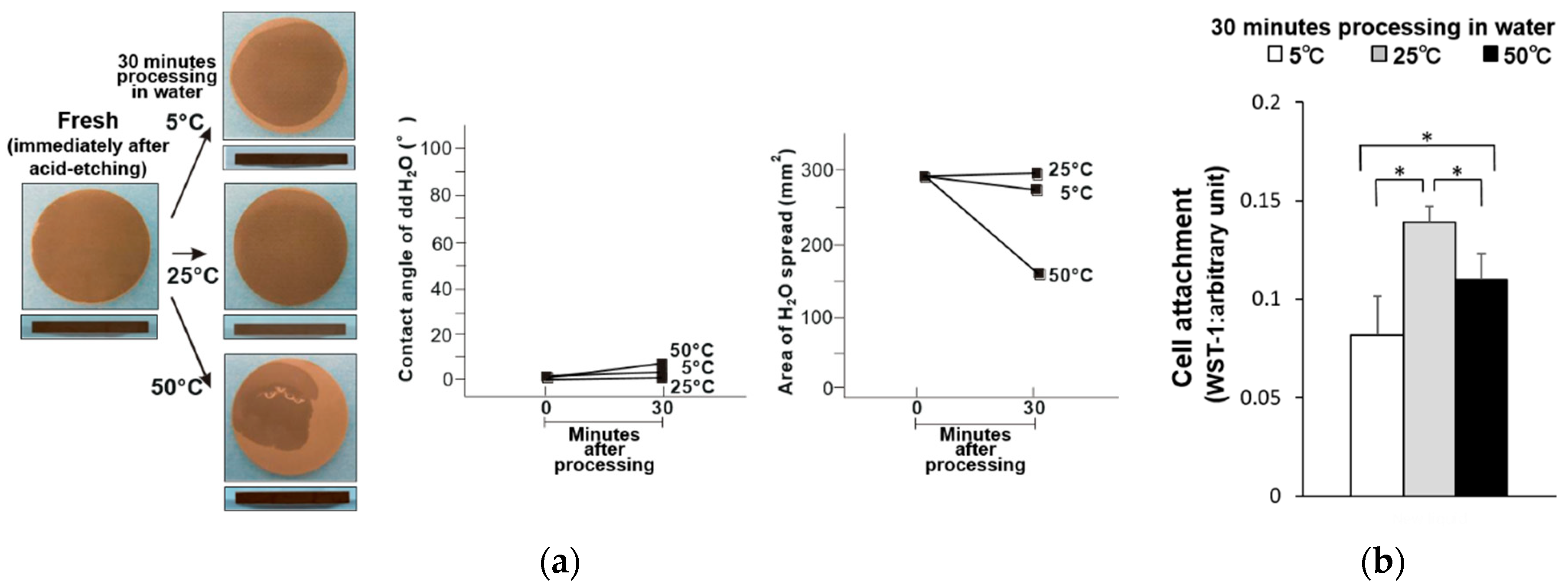 Materials 14 05493 g004