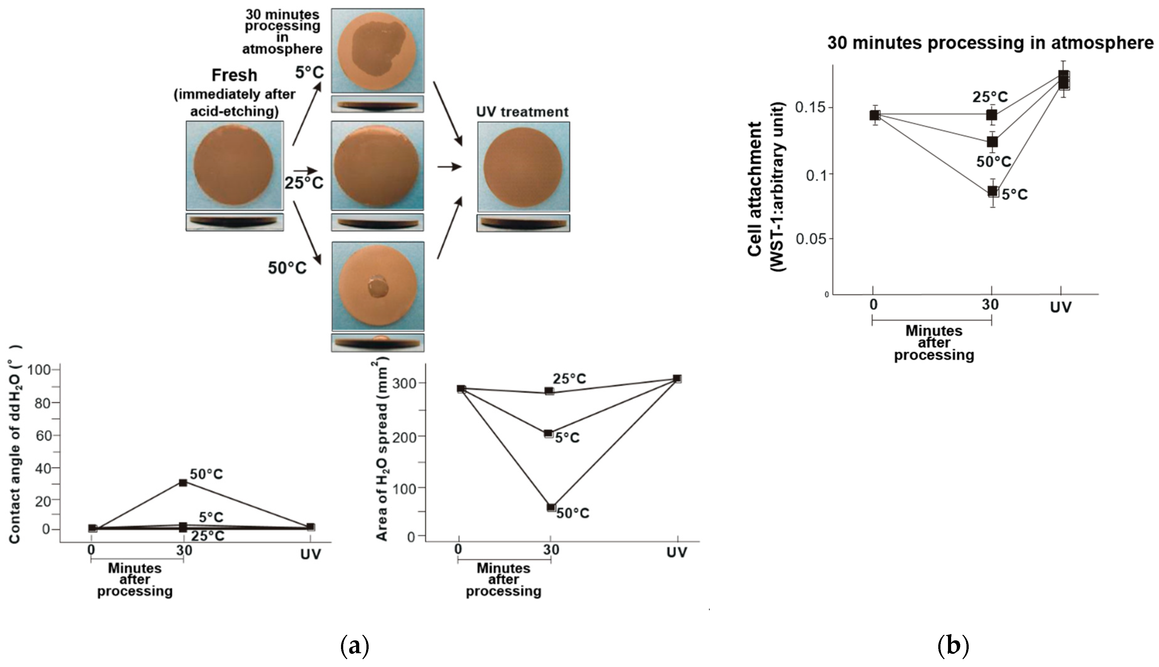 Materials 14 05493 g008