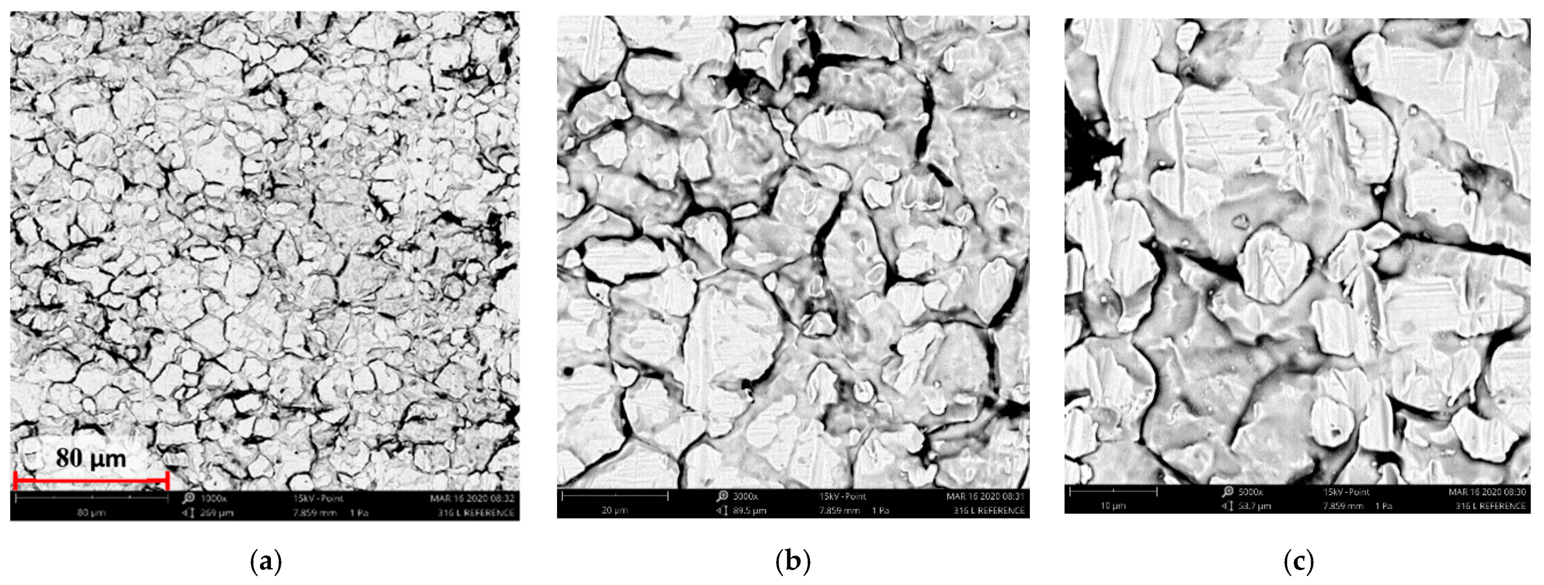 Materials 14 05525 g004