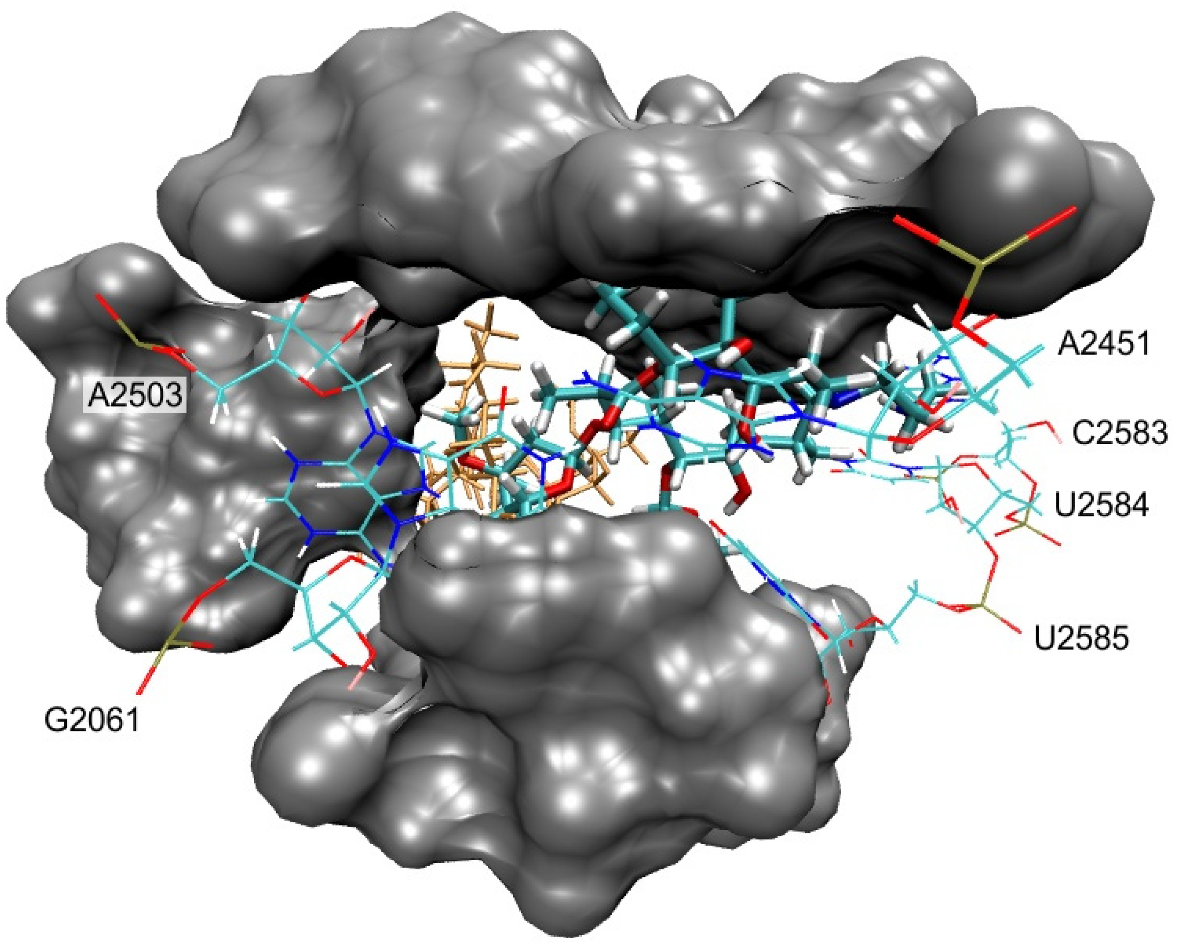 Materials 14 05561 g007