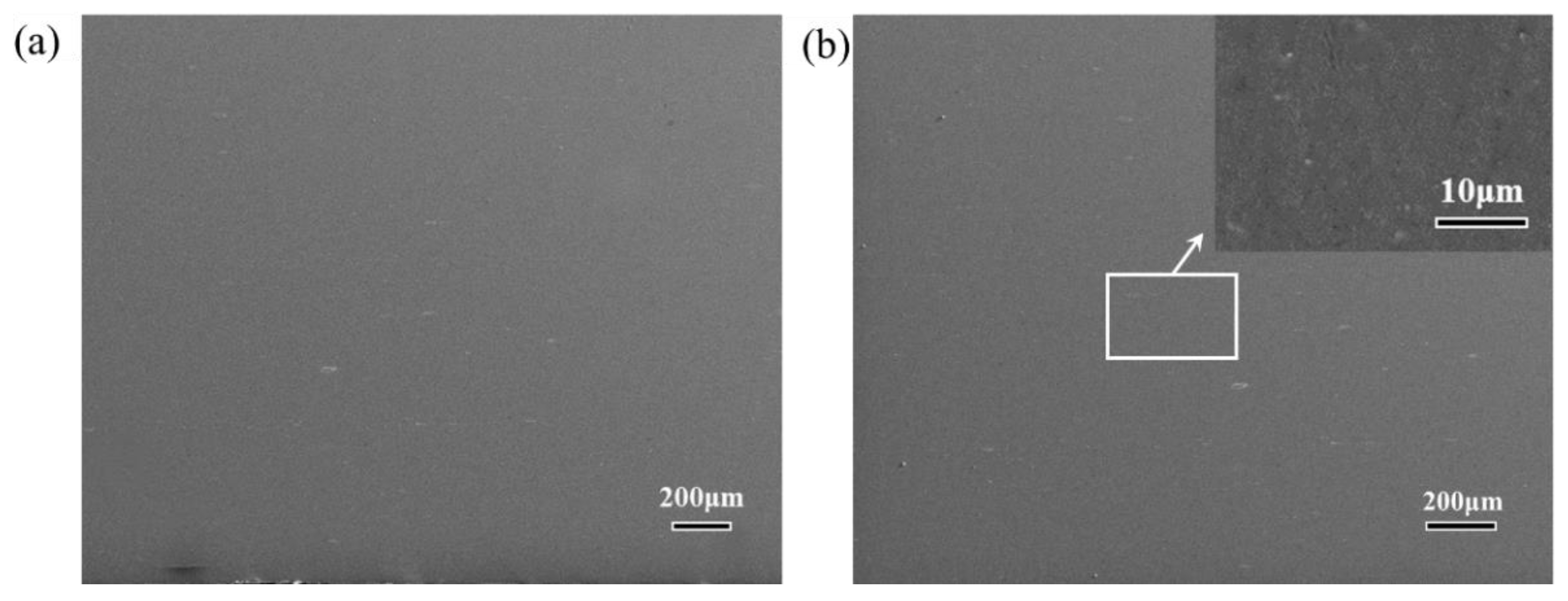 Materials 14 05576 g002