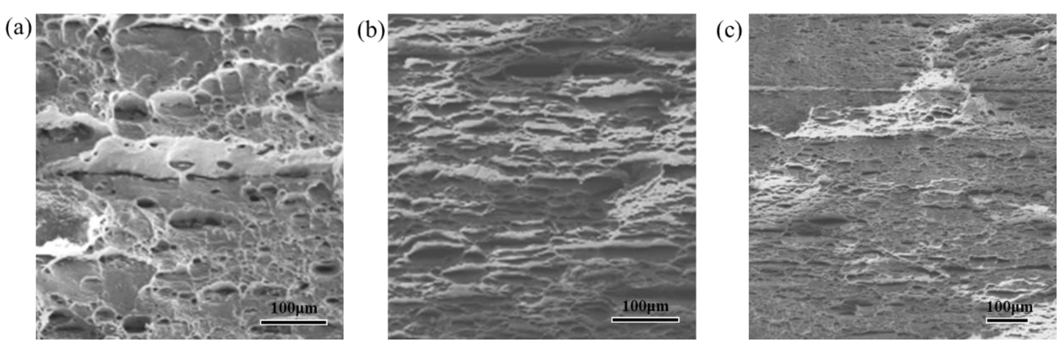 Materials 14 05576 g005