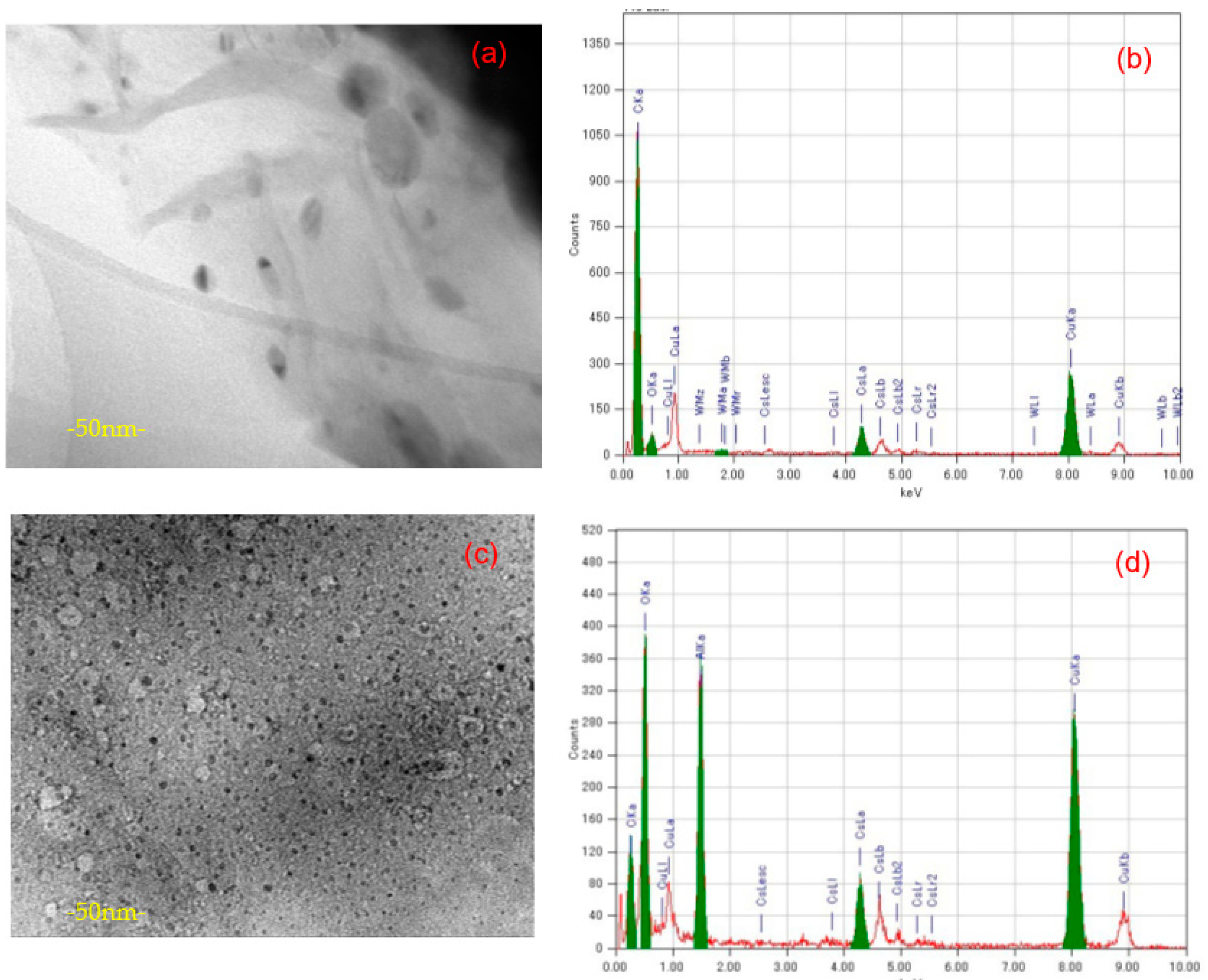 Materials 14 05577 g003