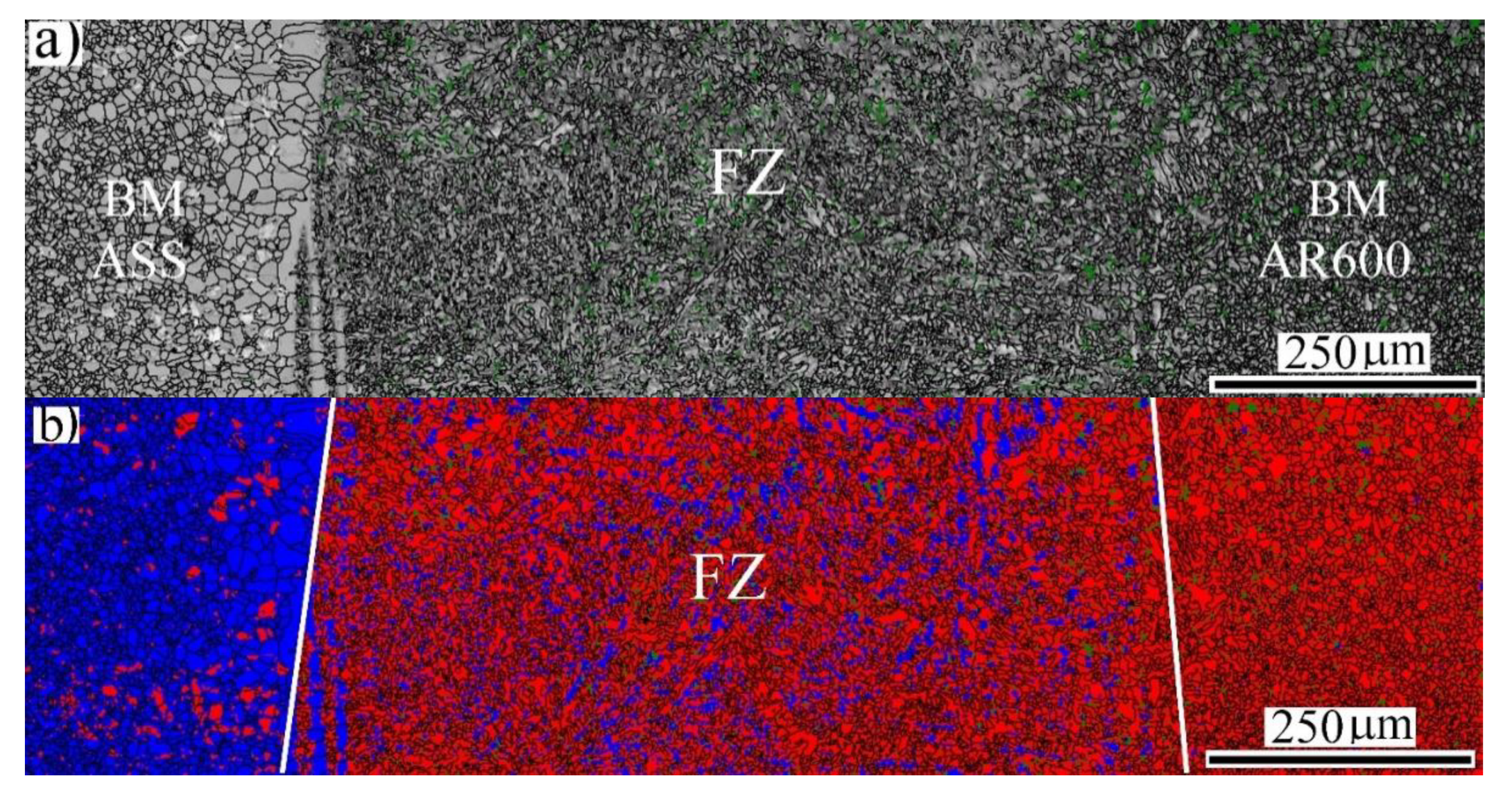 Materials 14 05580 g005