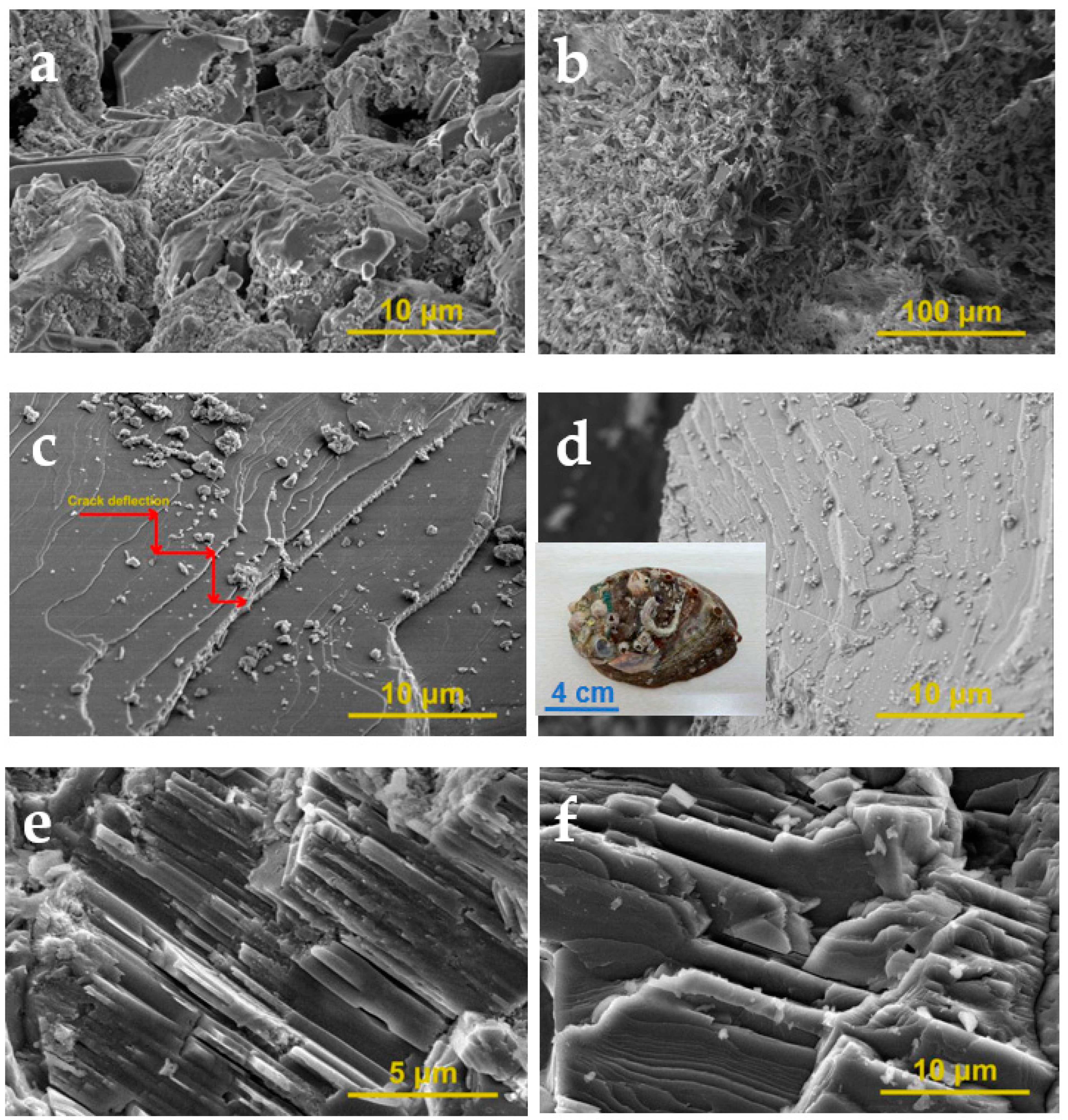 Materials 14 05601 g003 Materials 14 05601 g003