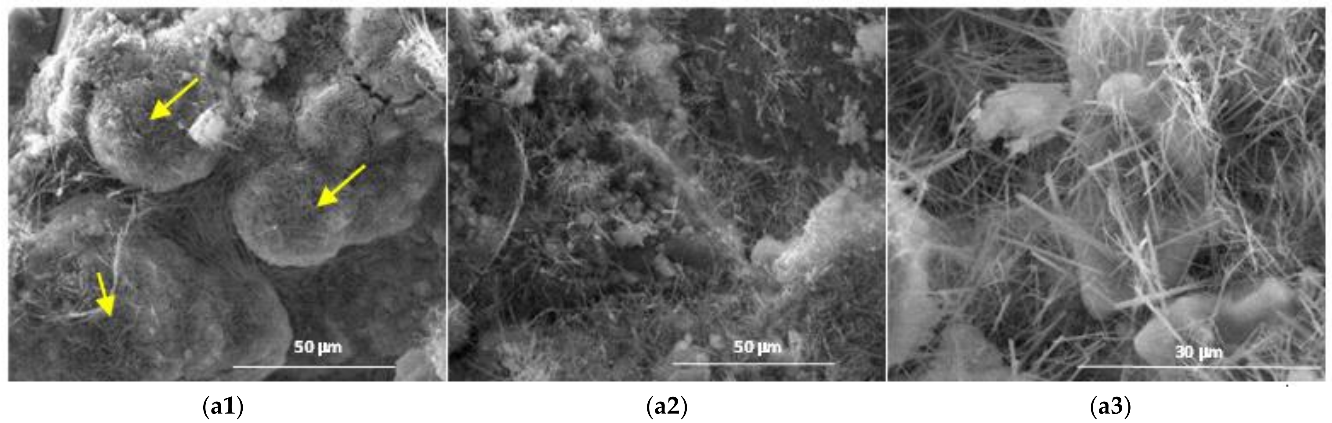 Materials 14 05610 g013