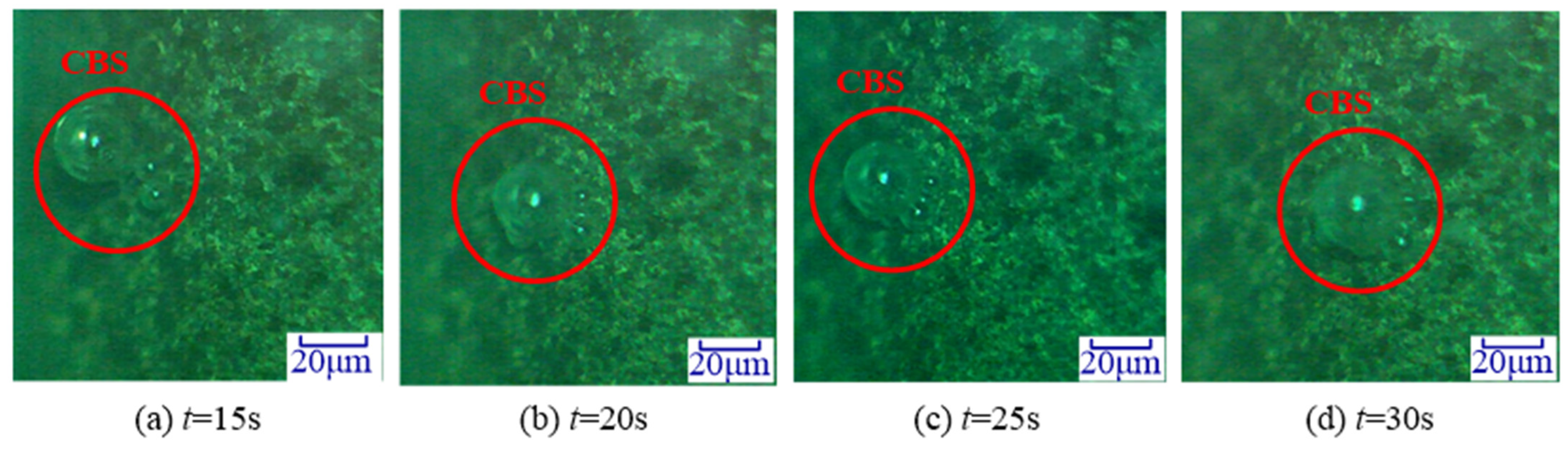 Materials 14 05611 g007