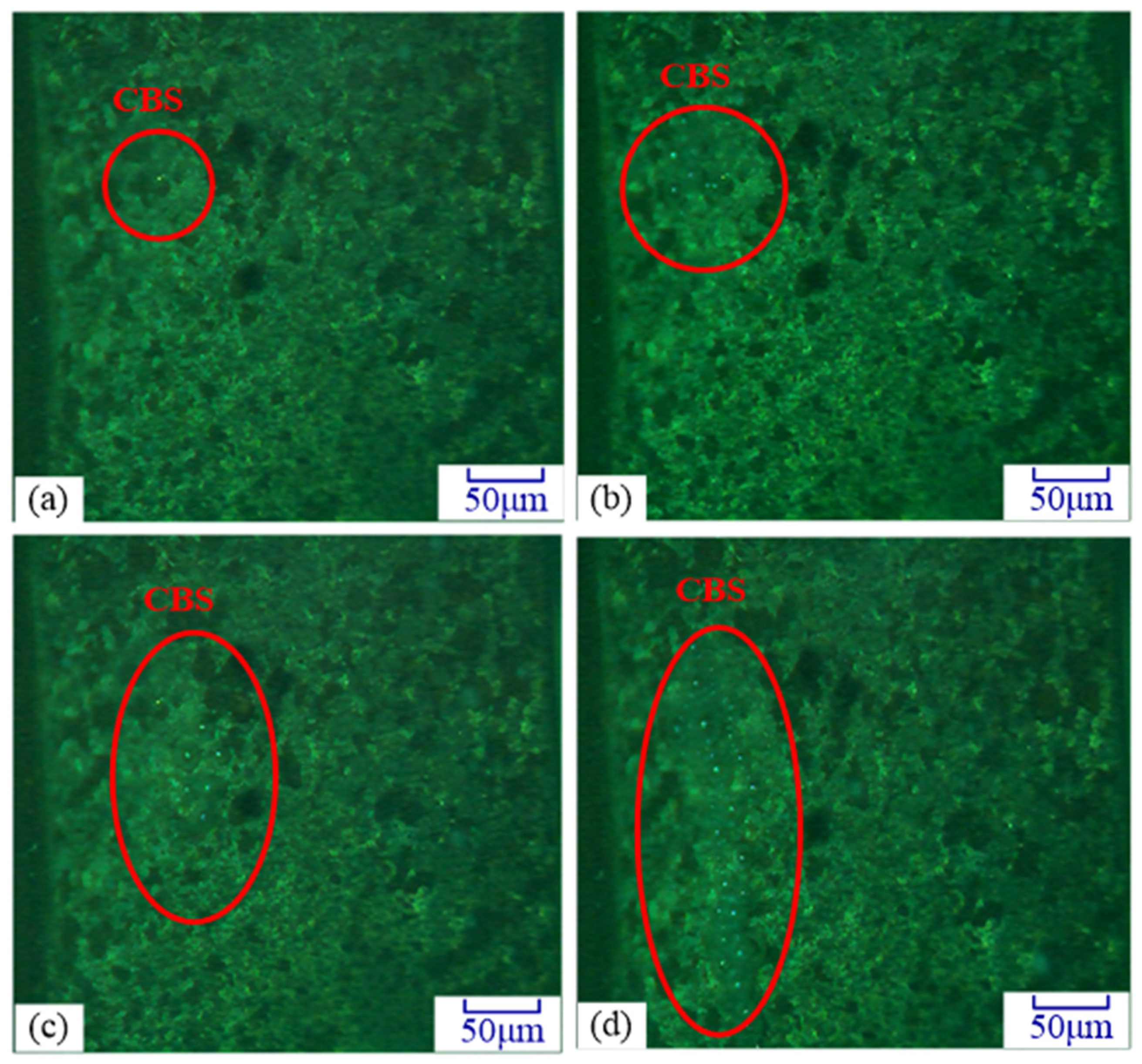 Materials 14 05611 g008