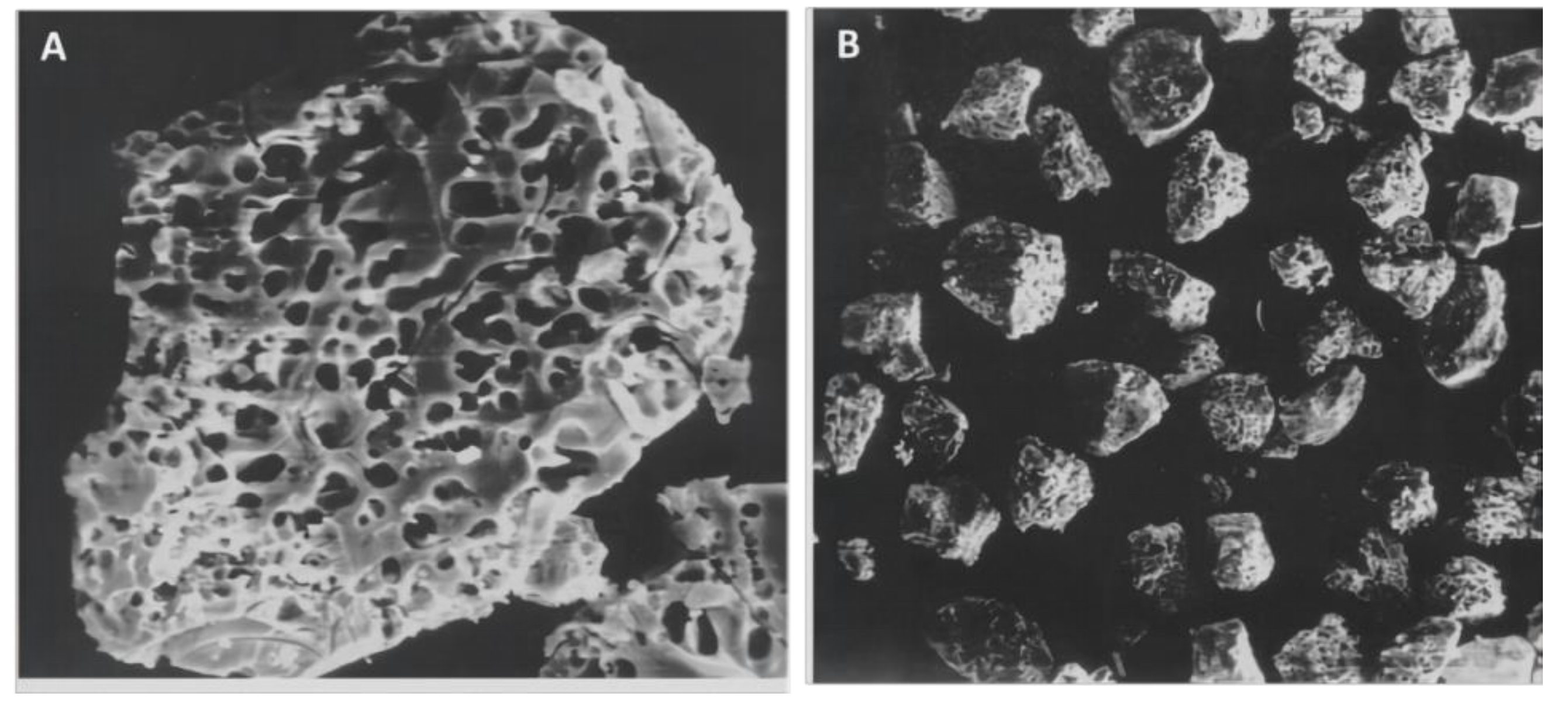 Materials 14 05612 g006