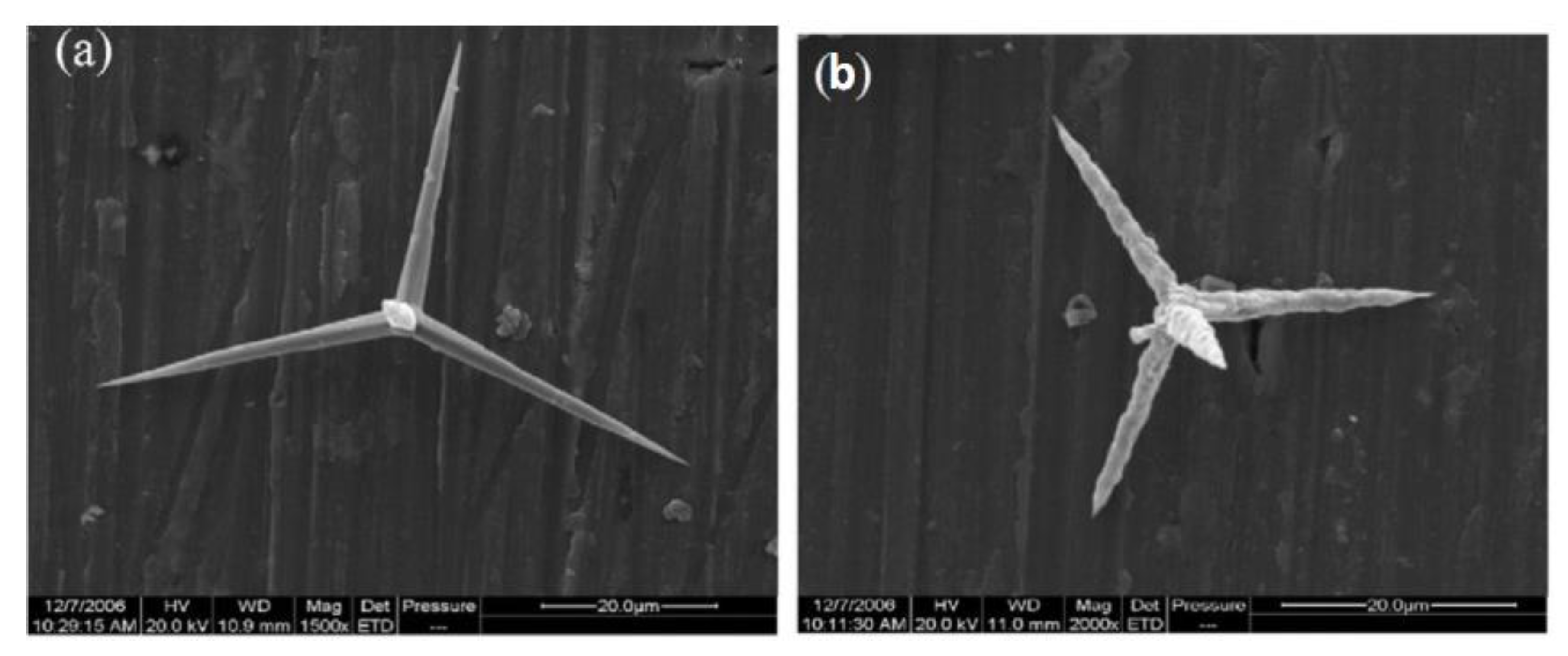 Materials 14 05612 g011