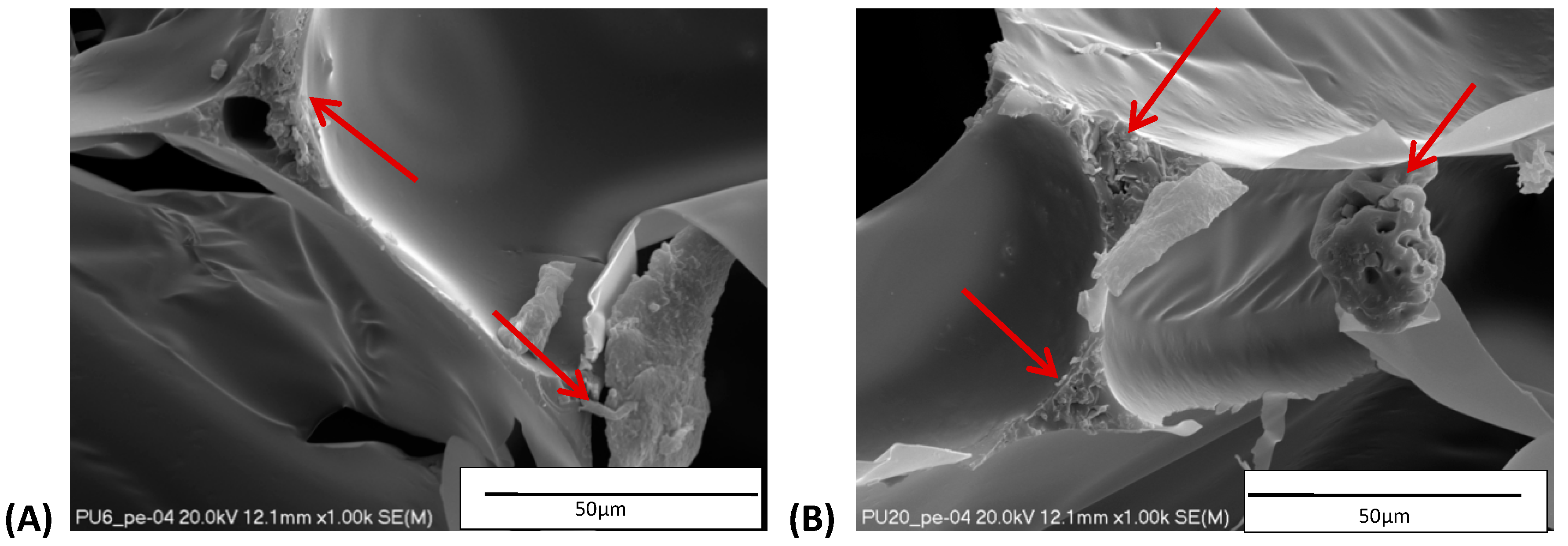 Materials 14 05616 g005