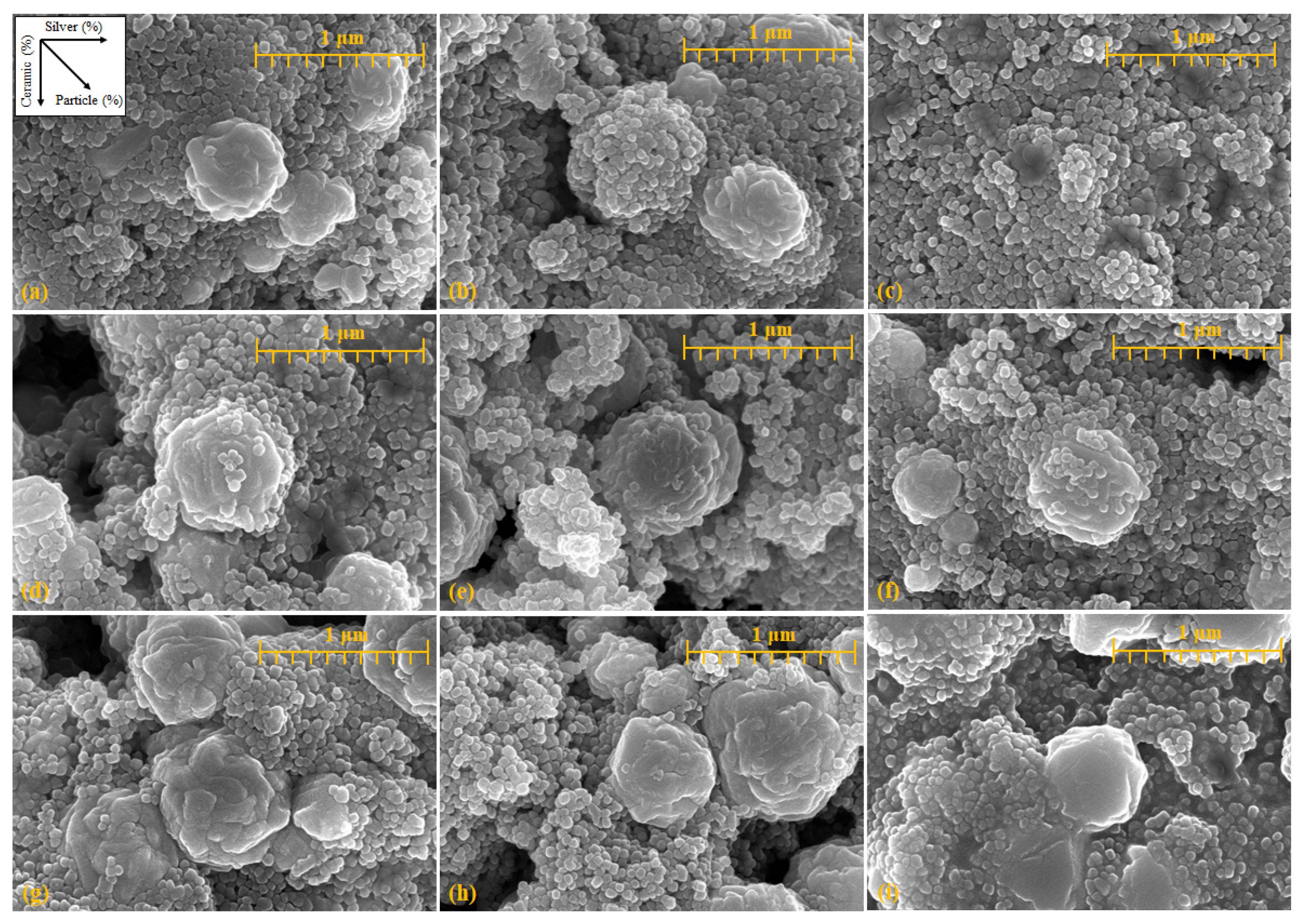 Materials 14 05623 g002