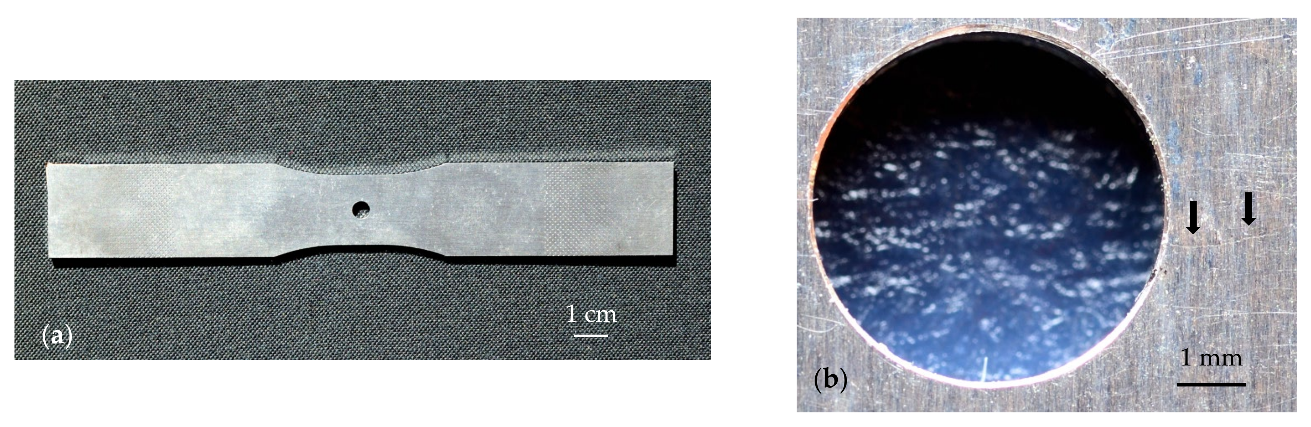 Materials 14 05644 g006